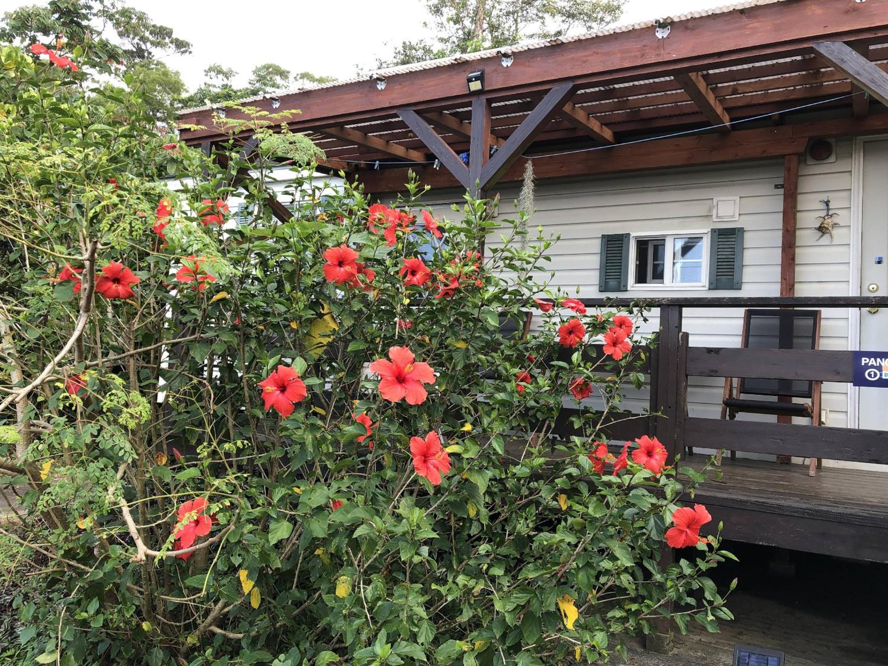 PANORAMA Ocean View Cottage