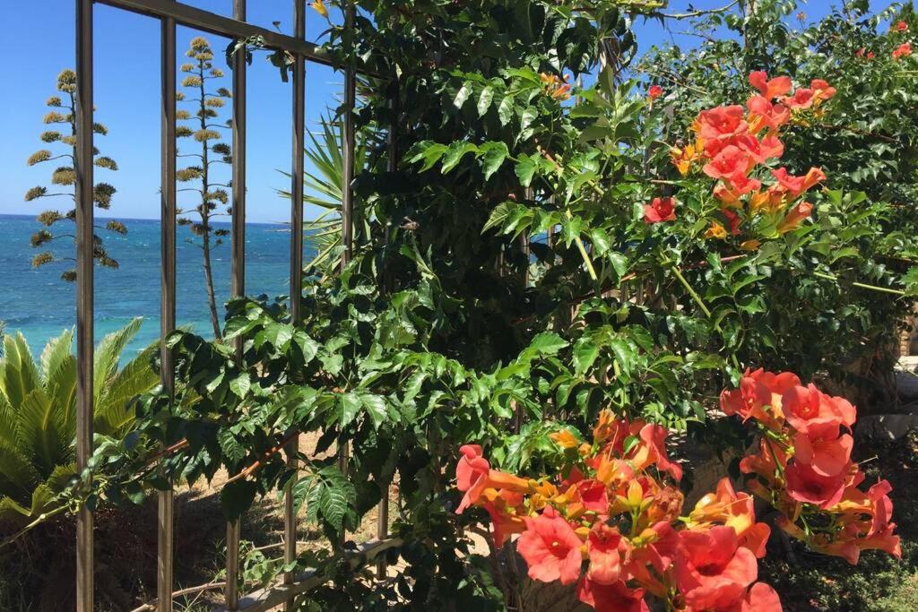 Swash & Ripple Studio by the sea view 2