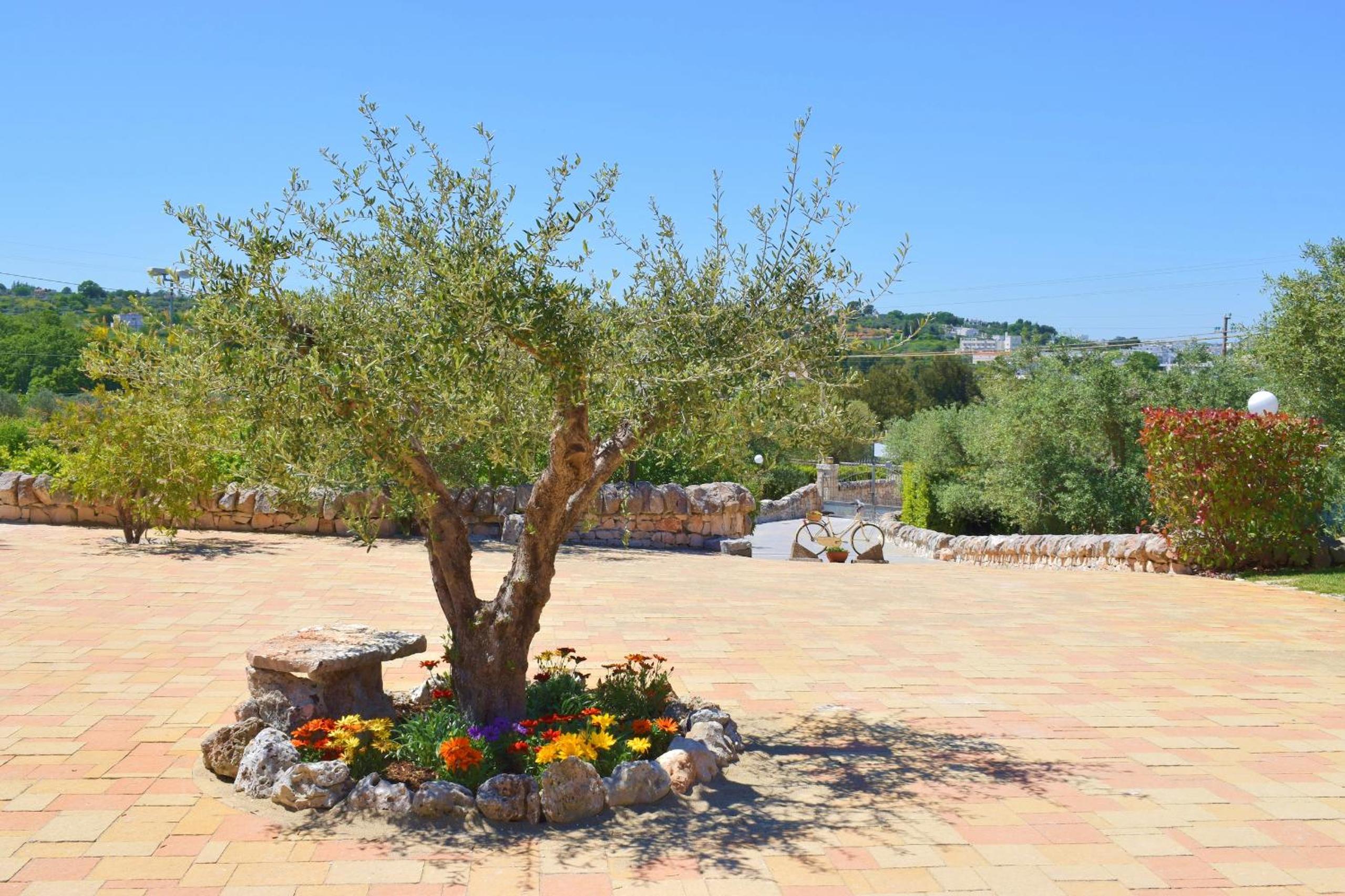 B&B La Rosa dei Trulli Alberobello