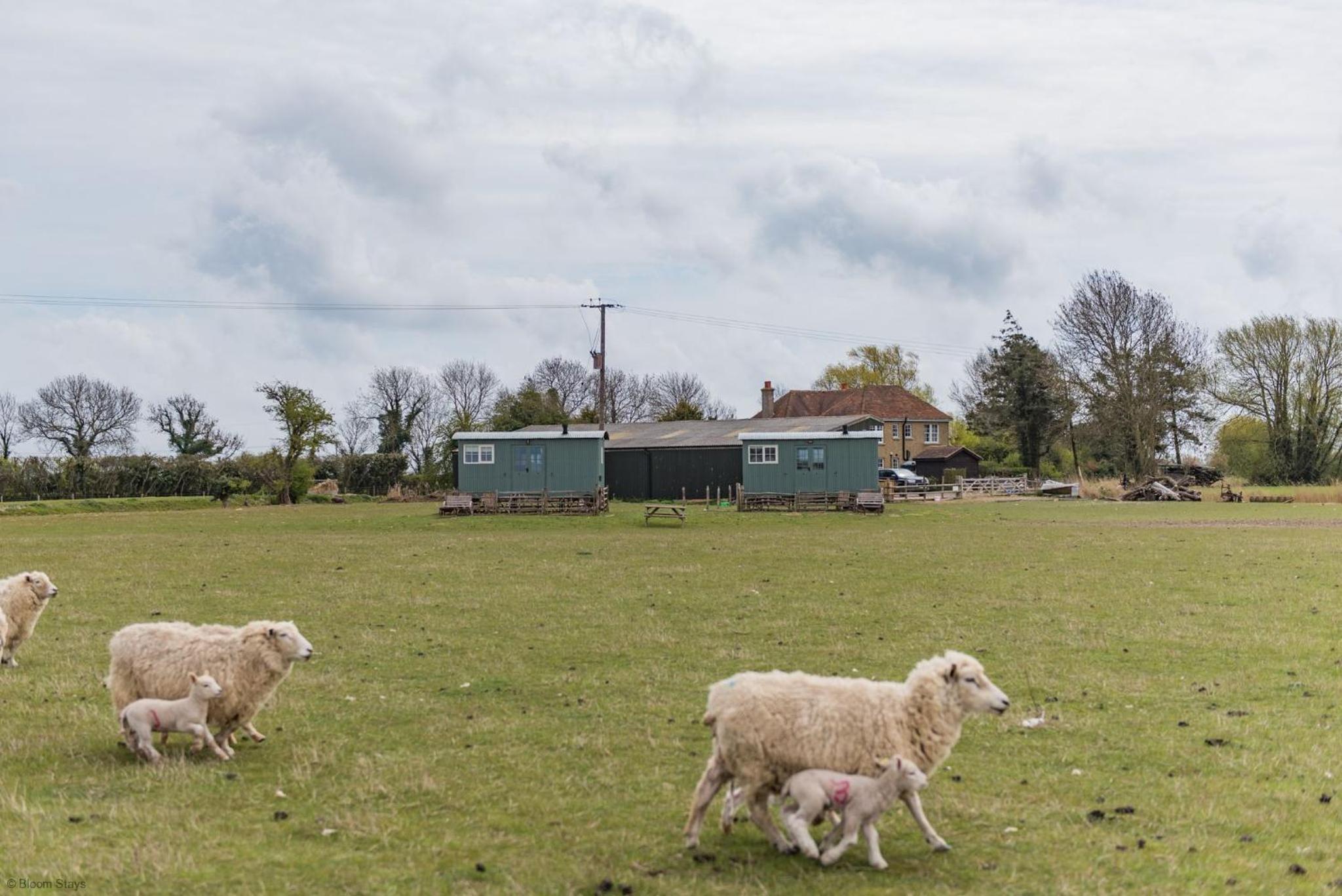 Romney Marsh Huts by Bloom Stays