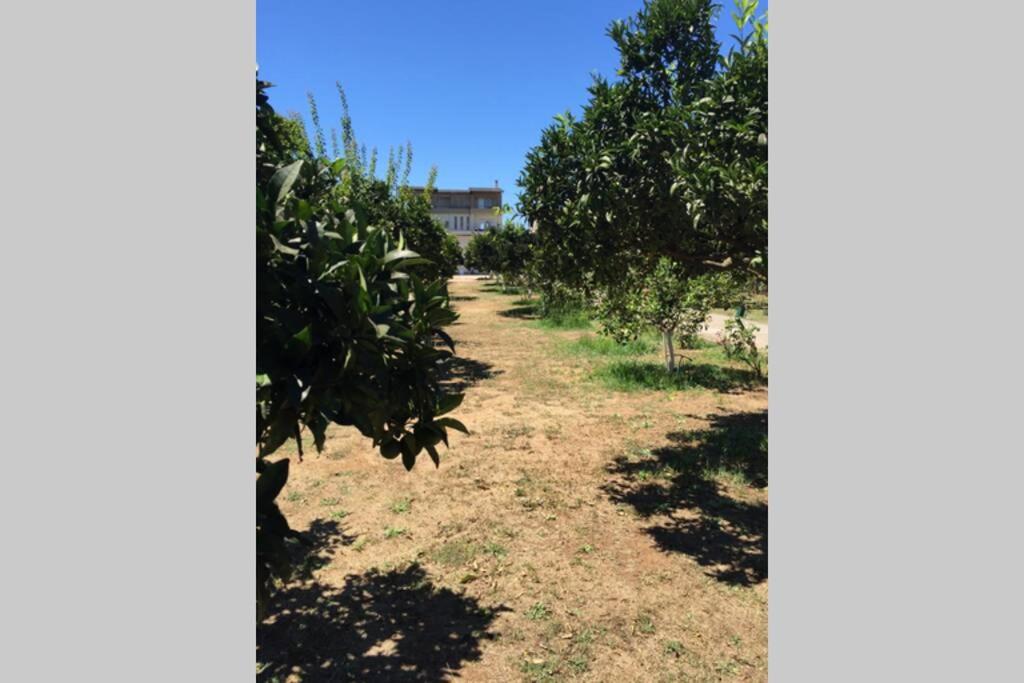 The Orange Grove Garden Room