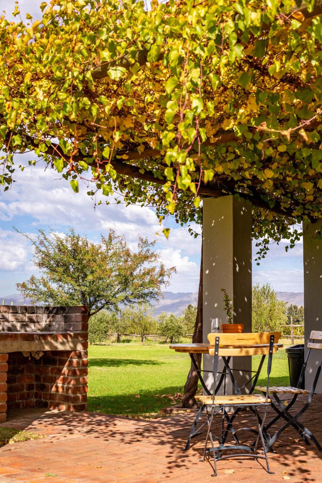 Saronsberg Vineyard Cottages