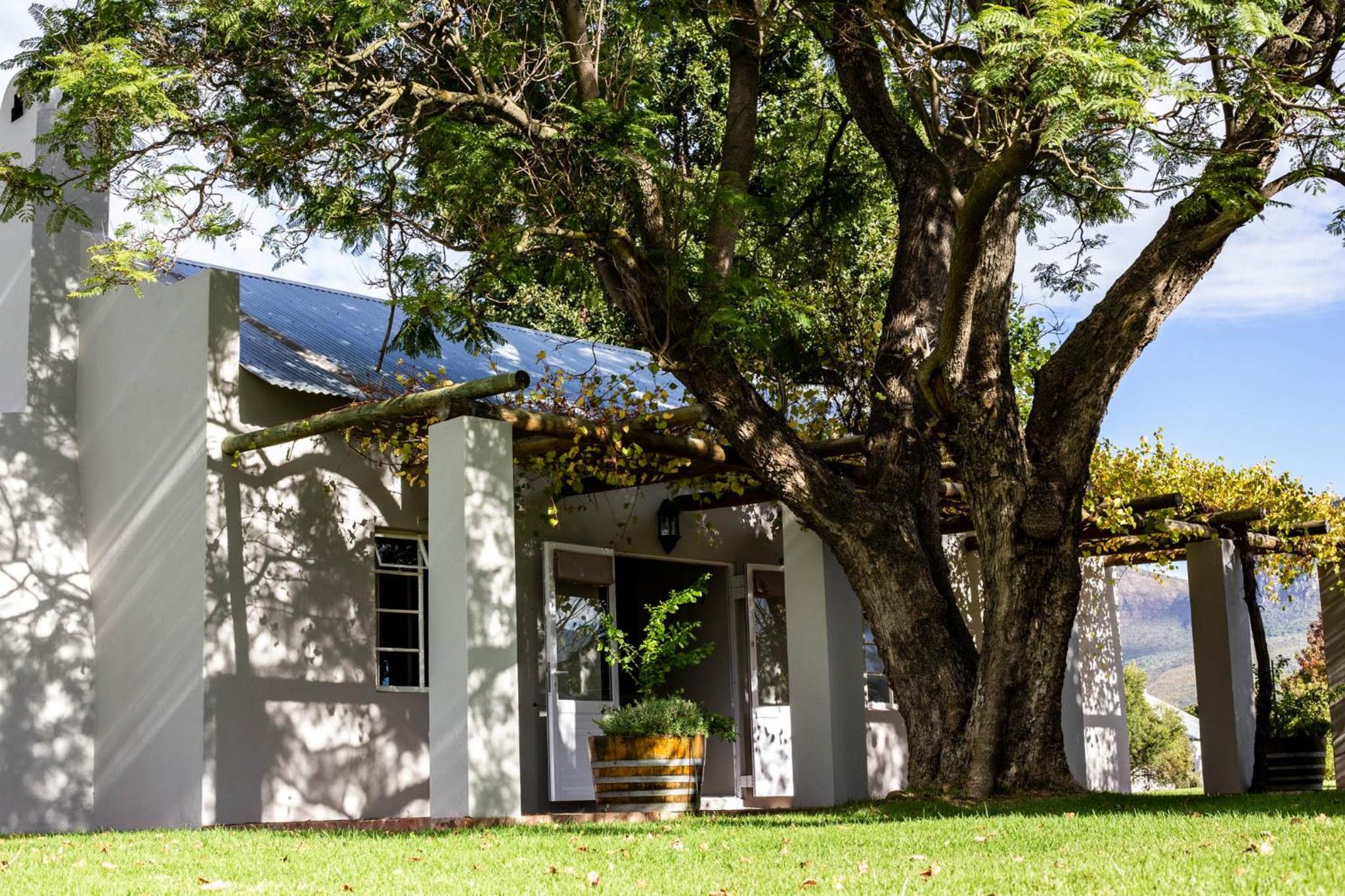 Saronsberg Vineyard Cottages