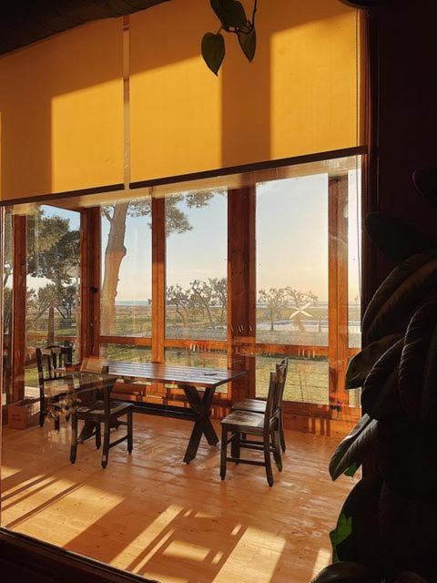 Divjaka Resort
