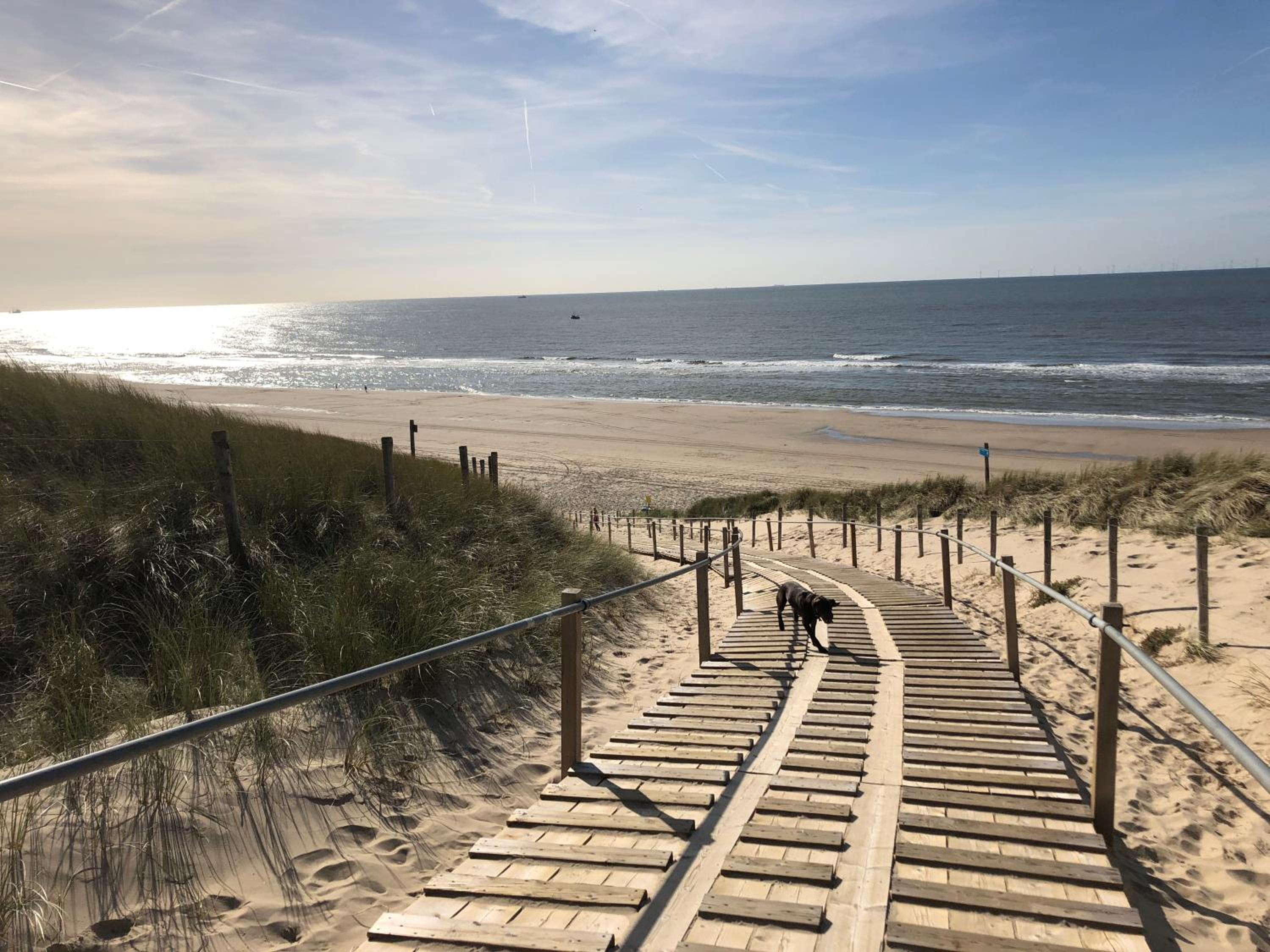 Heerlijke vakantiehuizen in Egmond view 3
