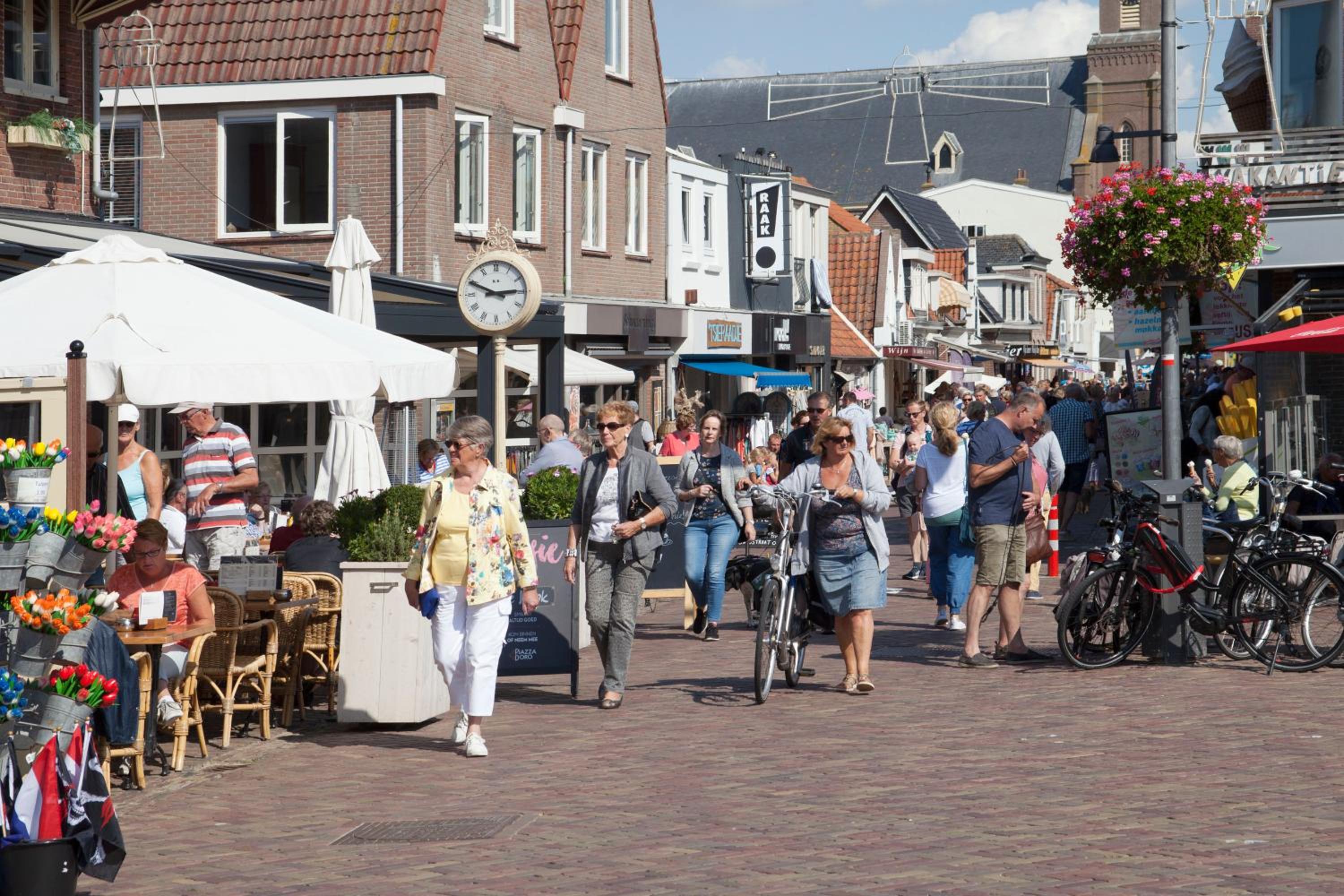 Heerlijke vakantiehuizen in Egmond view 4