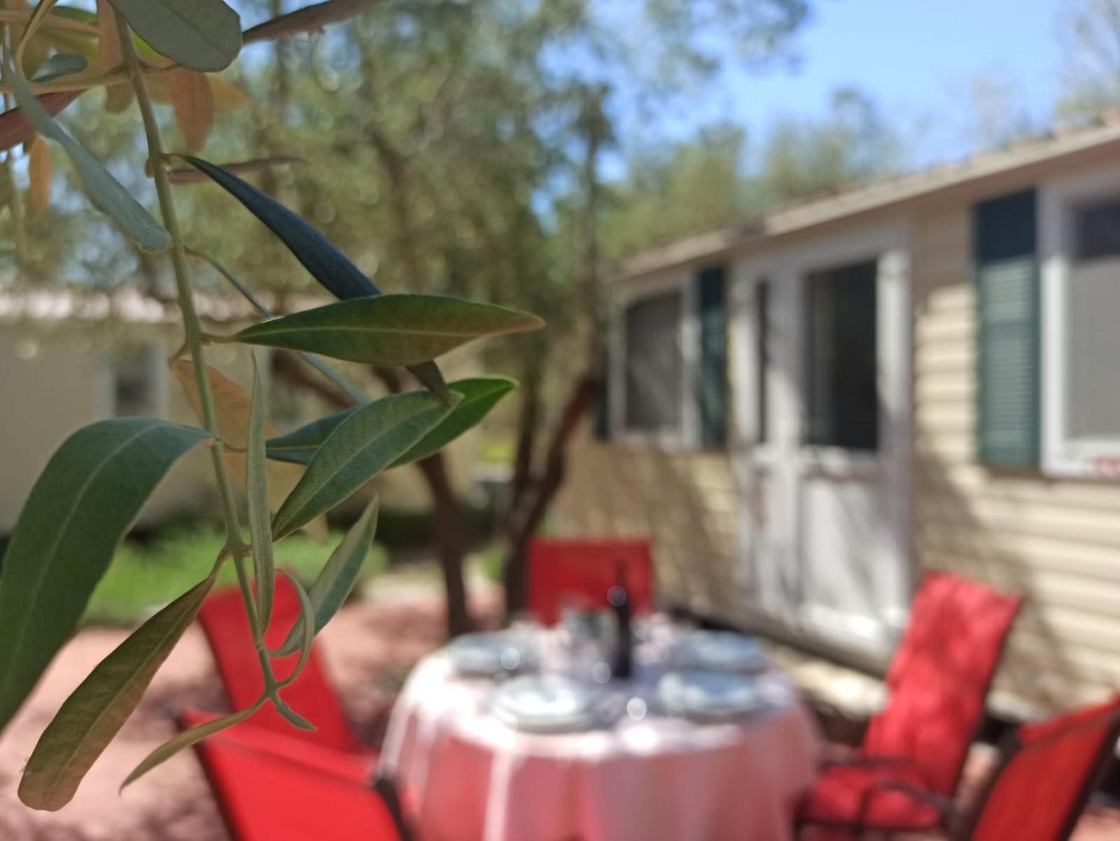 Camping Torkul view 5