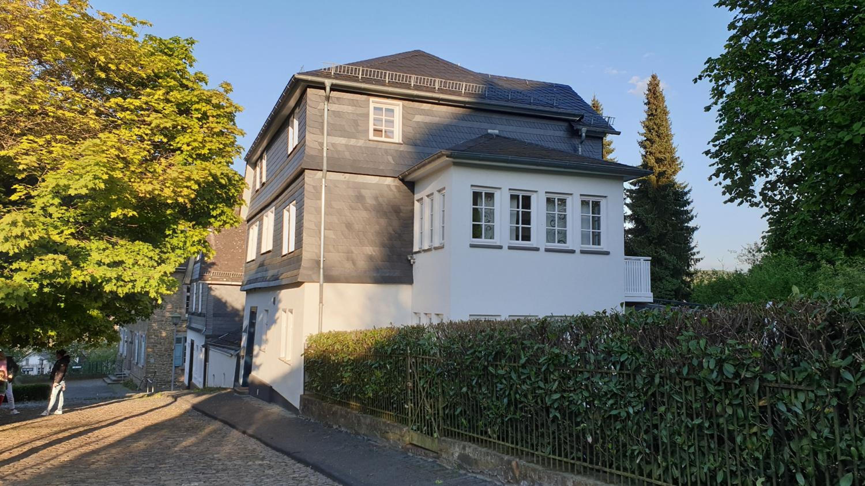 Schlossblick Herborn view 5