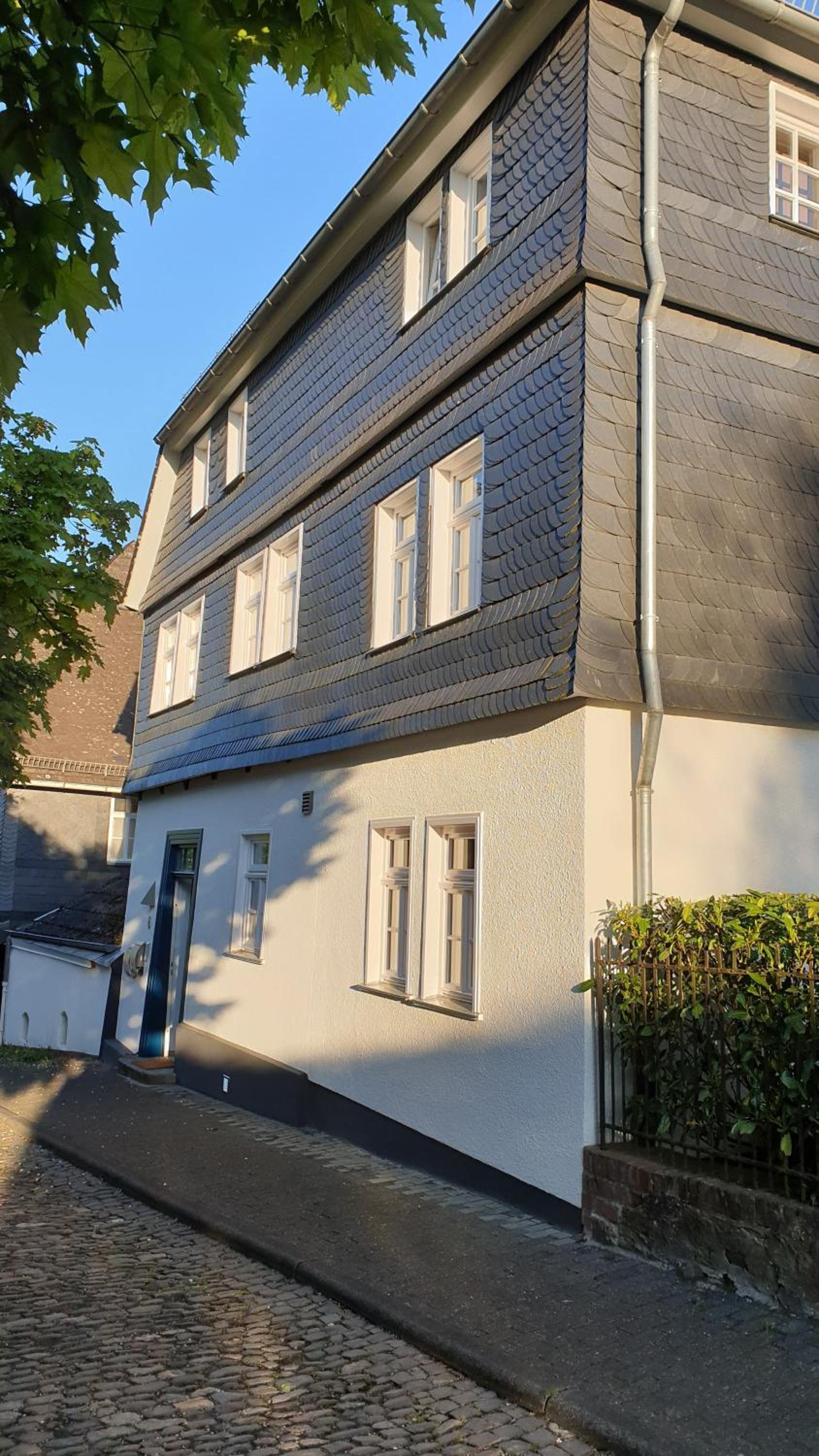 Schlossblick Herborn view 2
