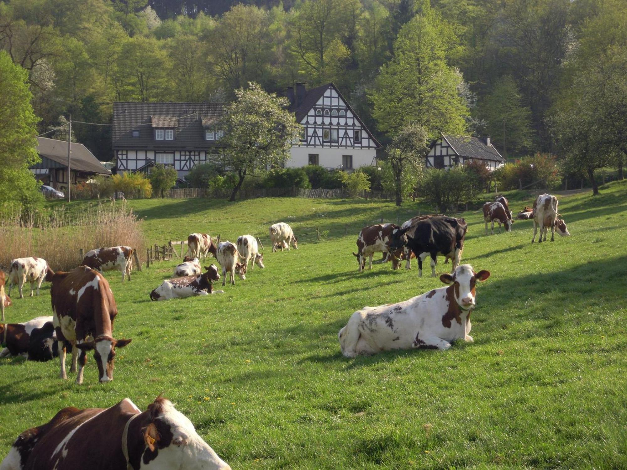 Ferienhof Richard
