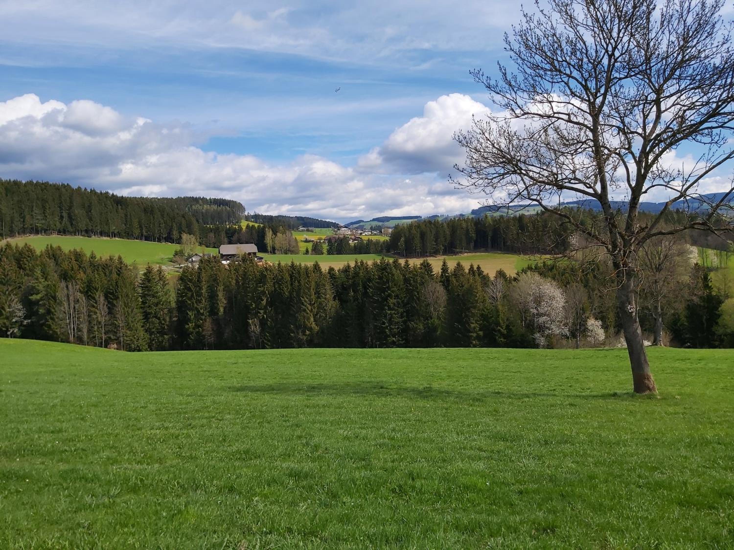Haus Fernblick