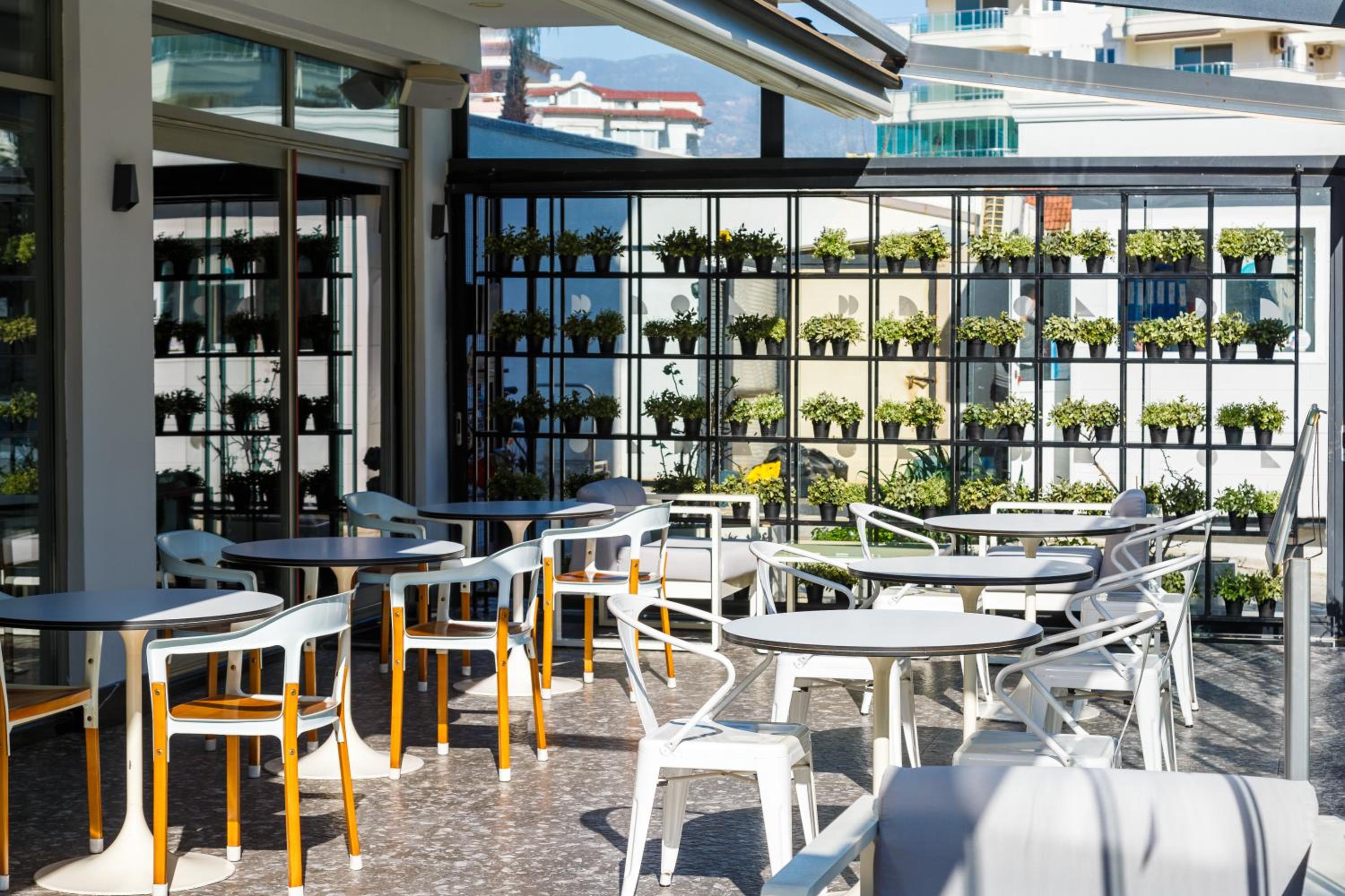 Sunprime C-Lounge - Yetişkinlere Özel - Image 85