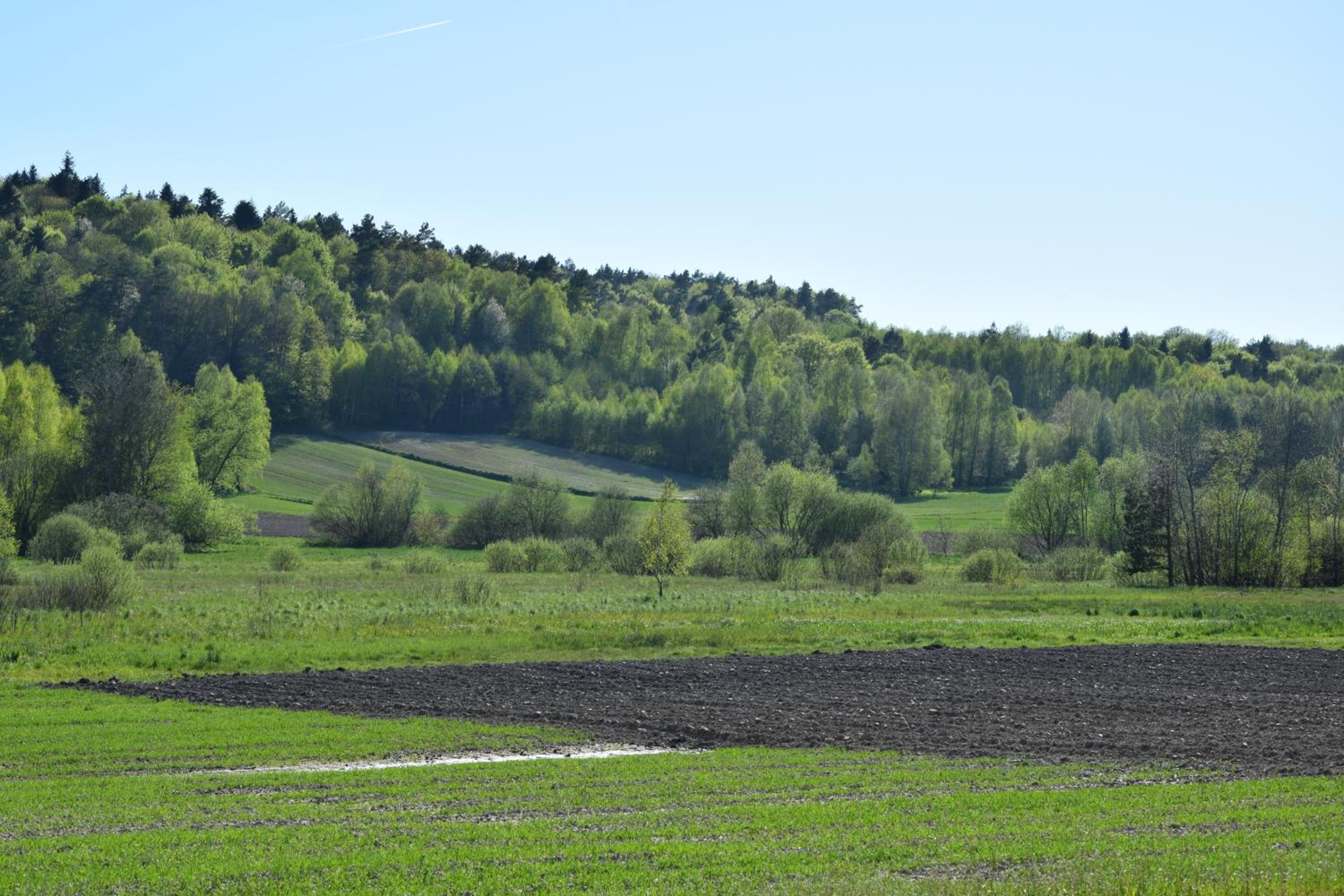 Photo 29