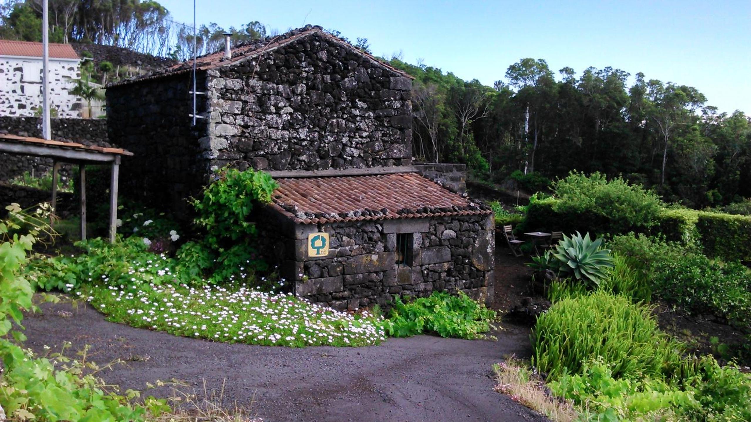 Casa da Adega view 5