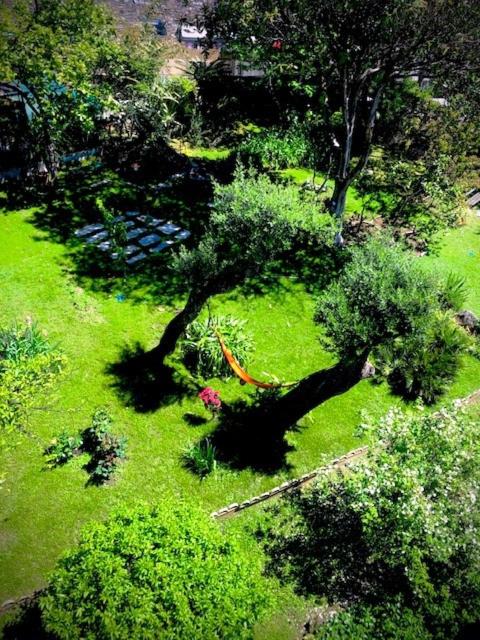Photo 26