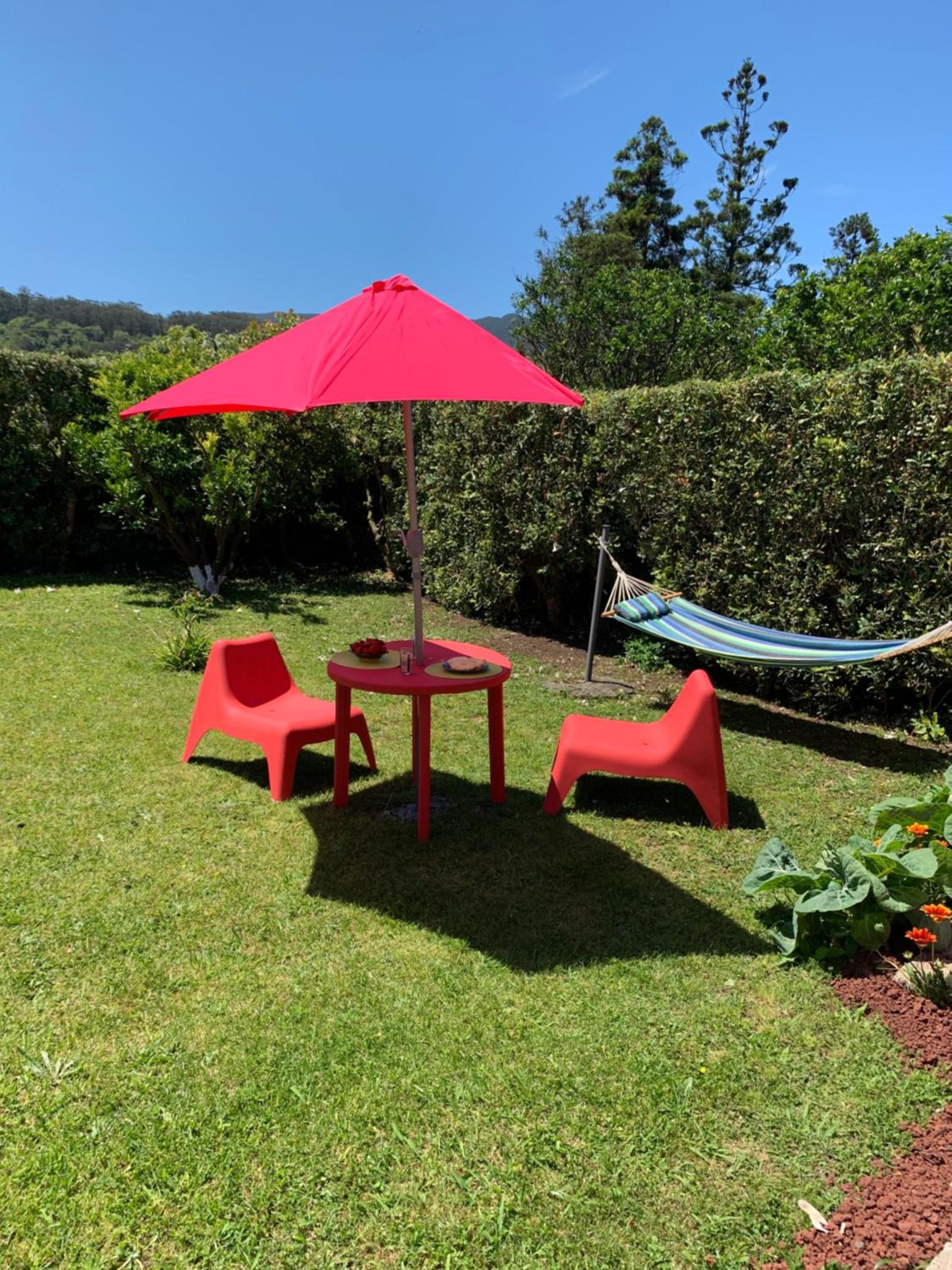 Quinta do Norte - Biscoitos view 4