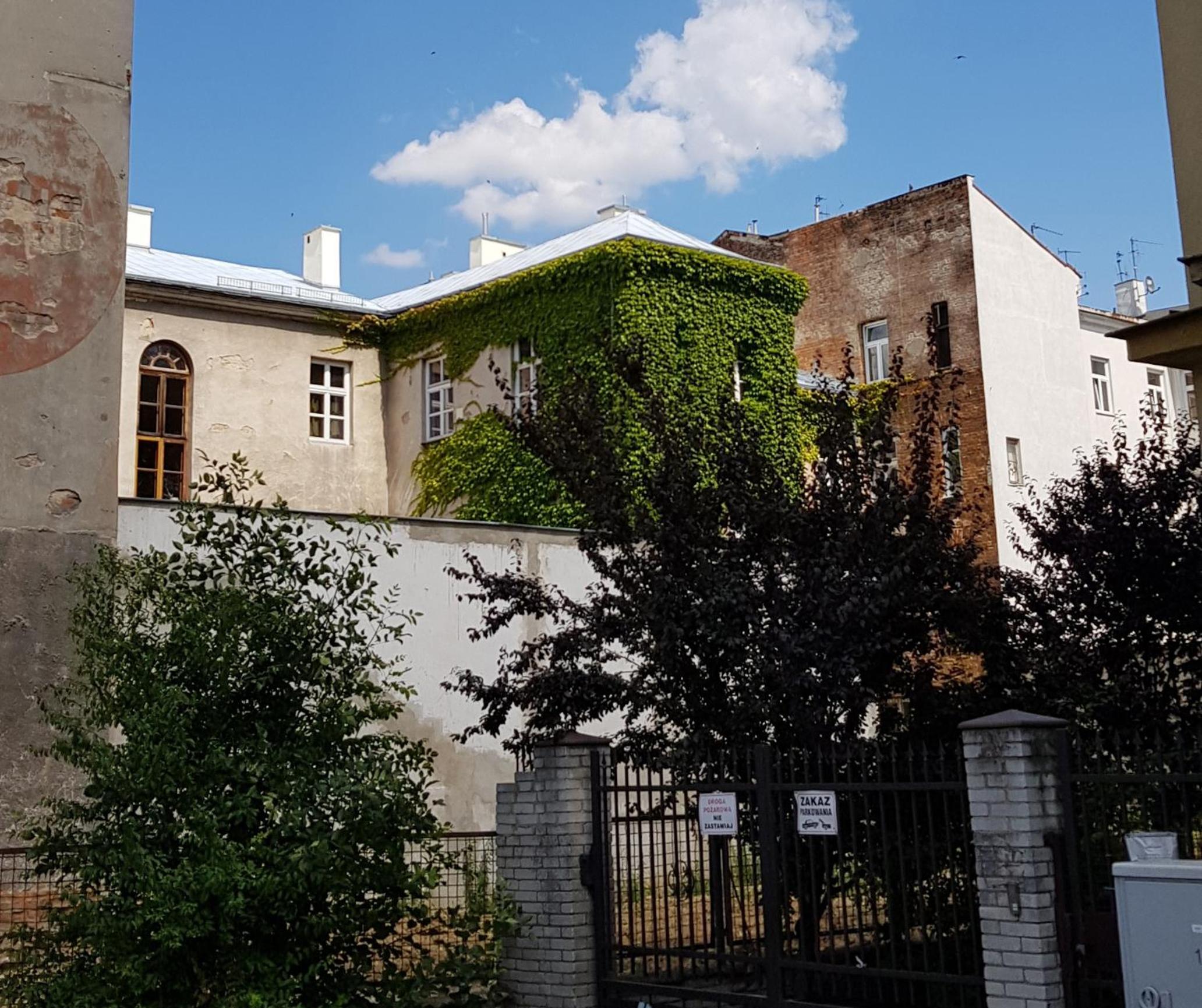 Photo 18