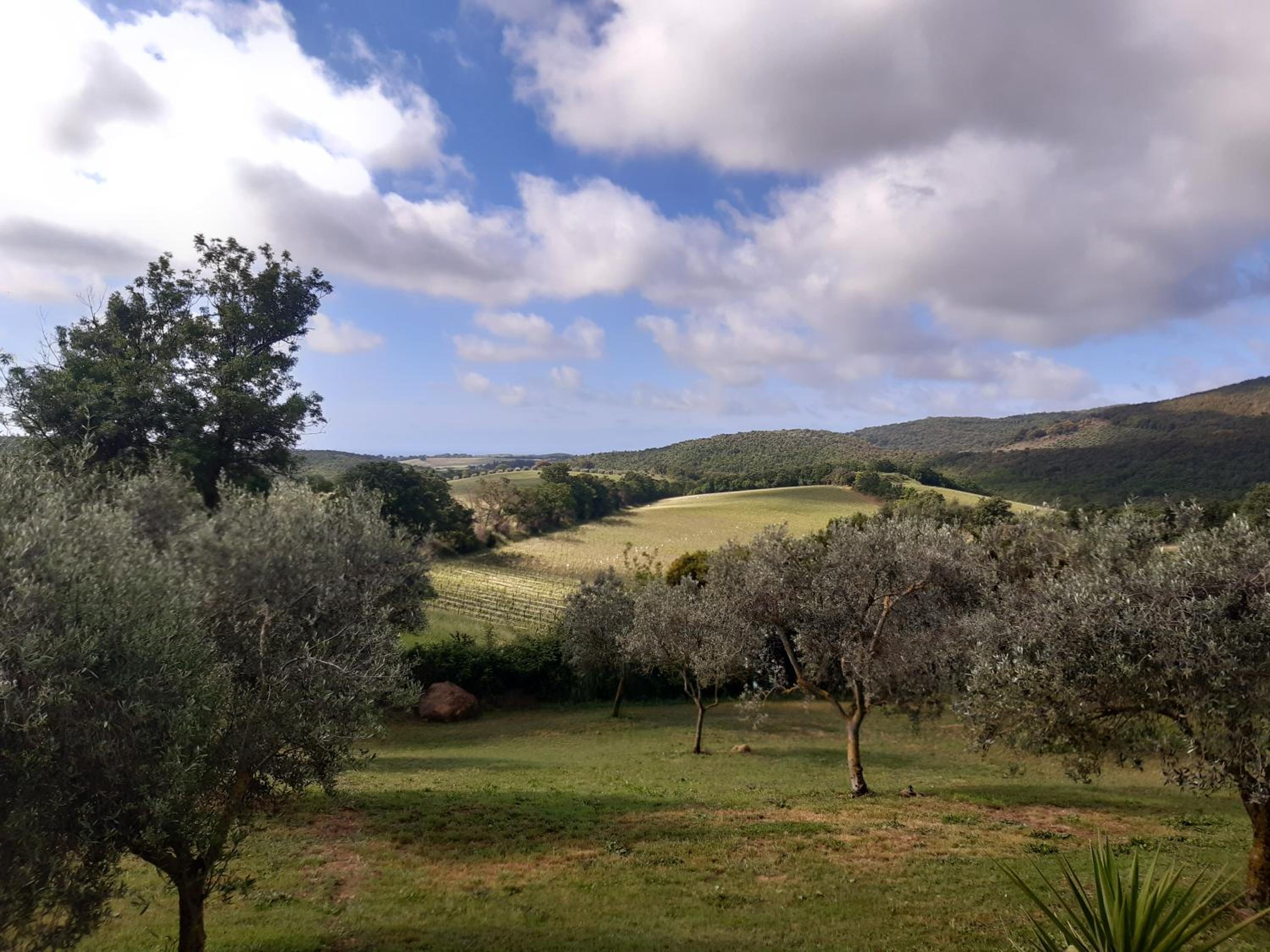 Agriturismo Colleverde Capalbio view 2