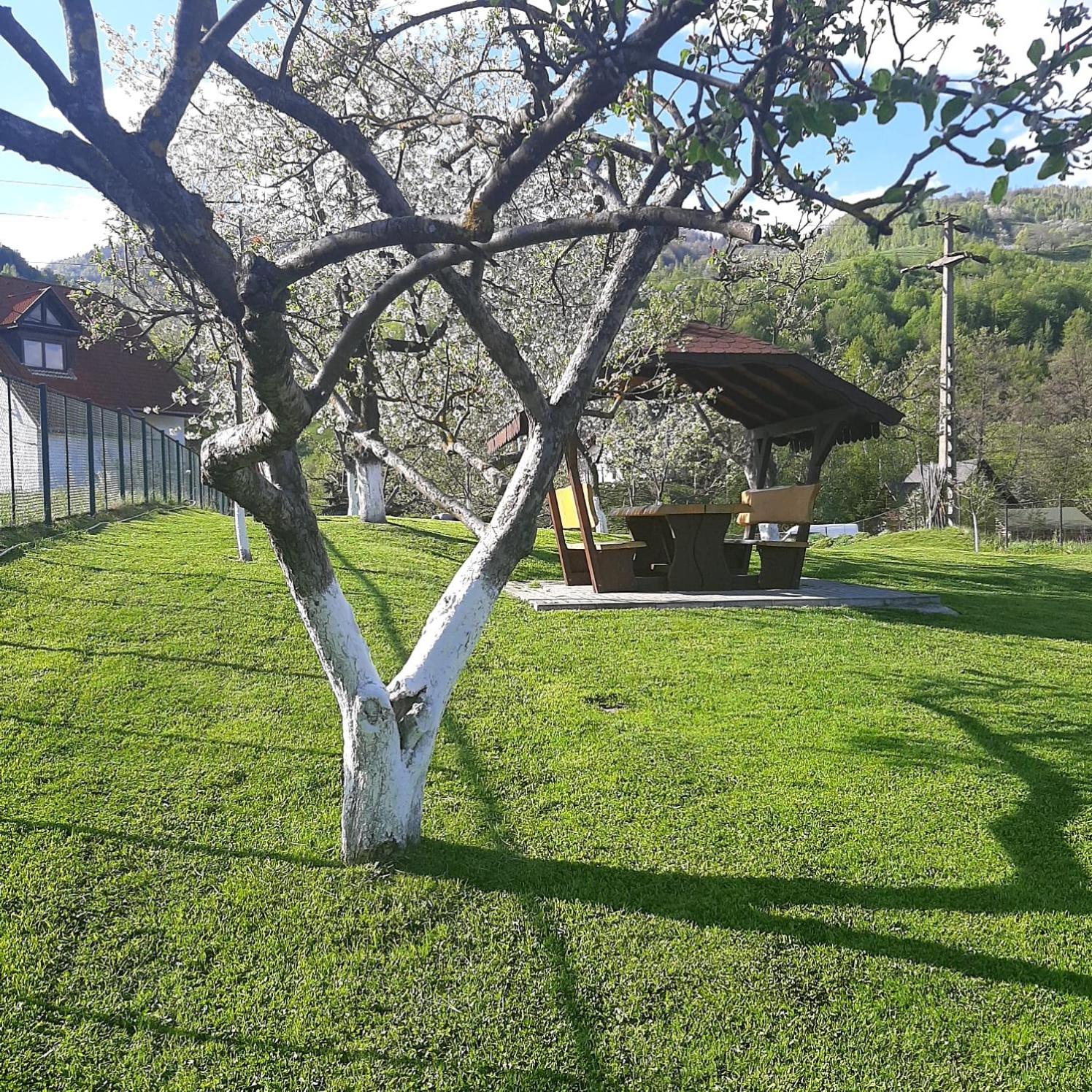 Pensiunea Denisa Stoian view 4