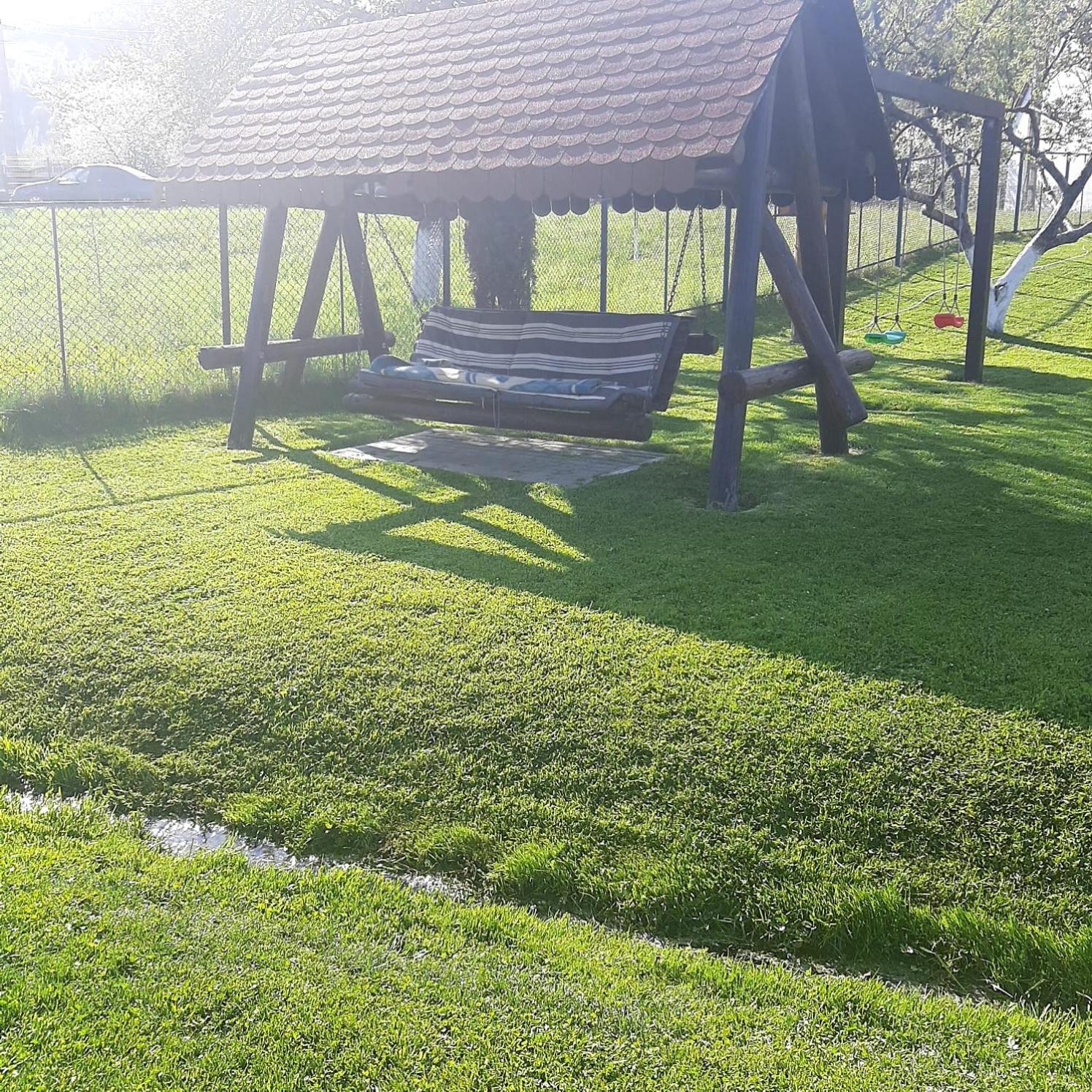 Photo 6