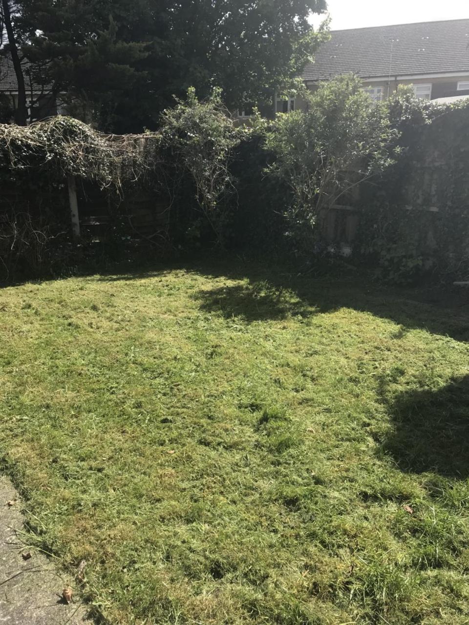 Photo 32