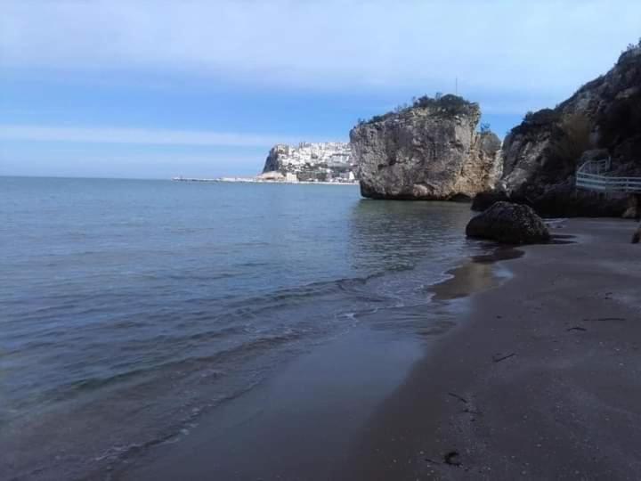 Photo 44