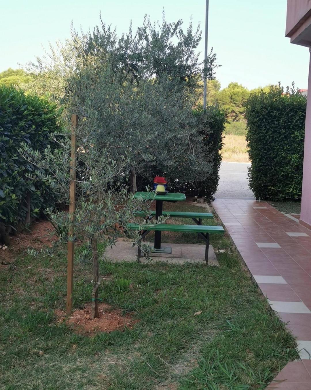 Photo 10