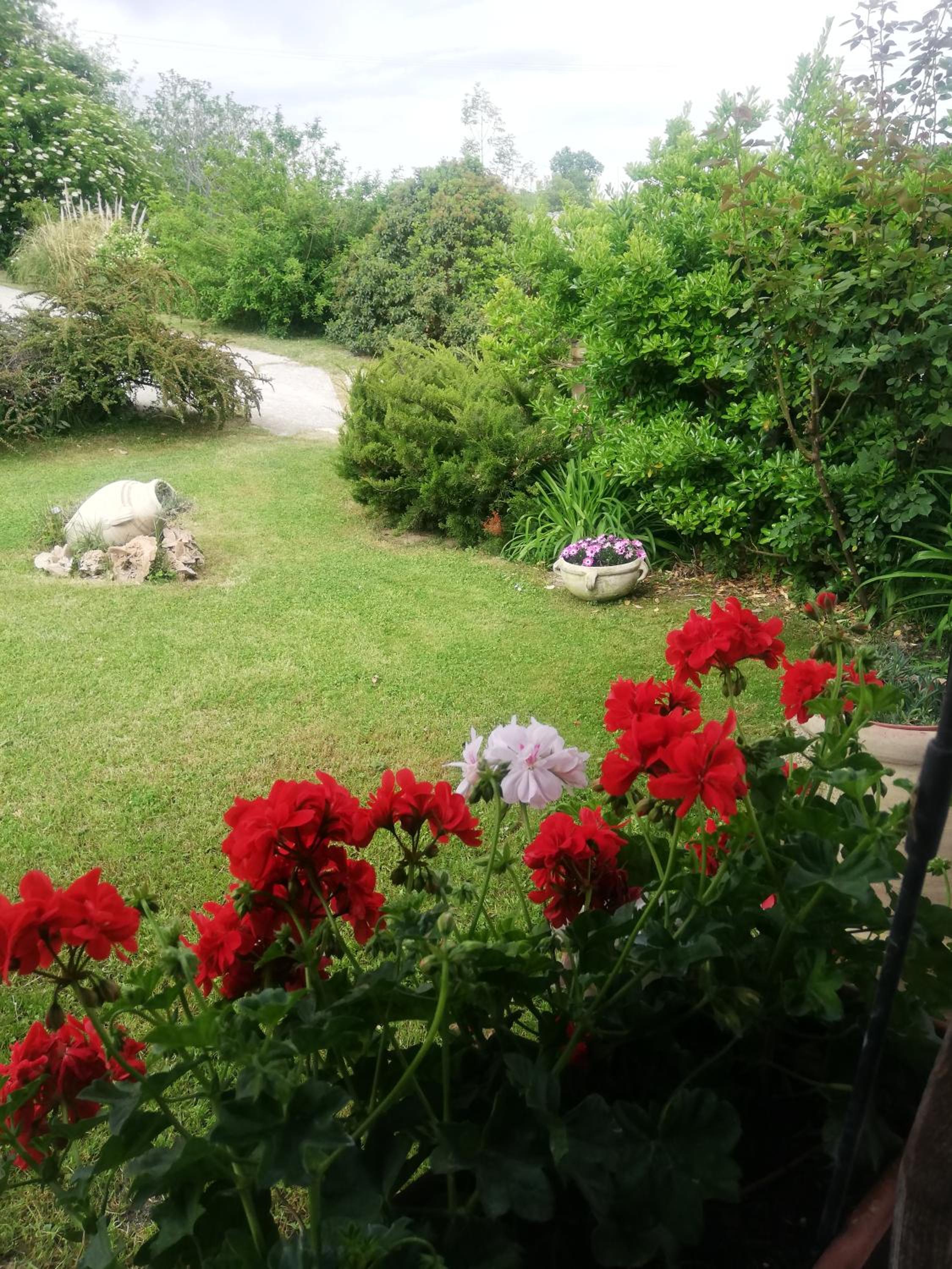 Photo 28