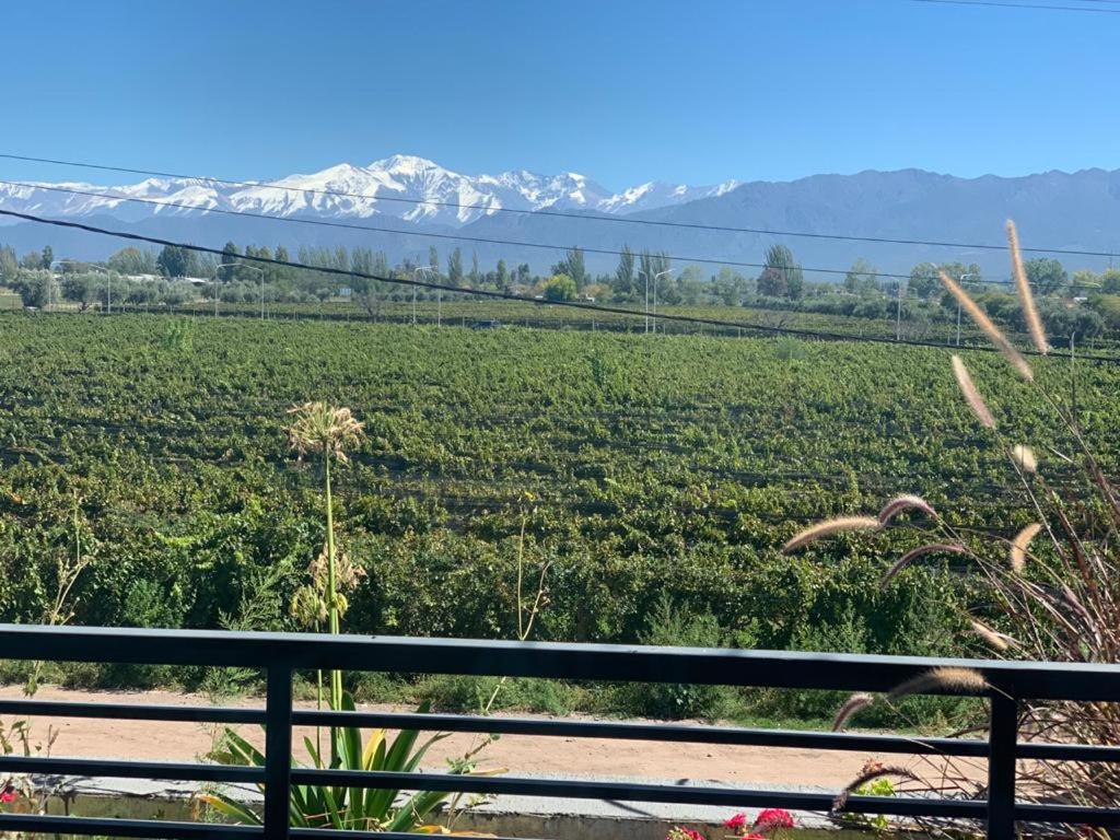Increíble departamento en Luján de Cuyo, imponente vista a la montaña