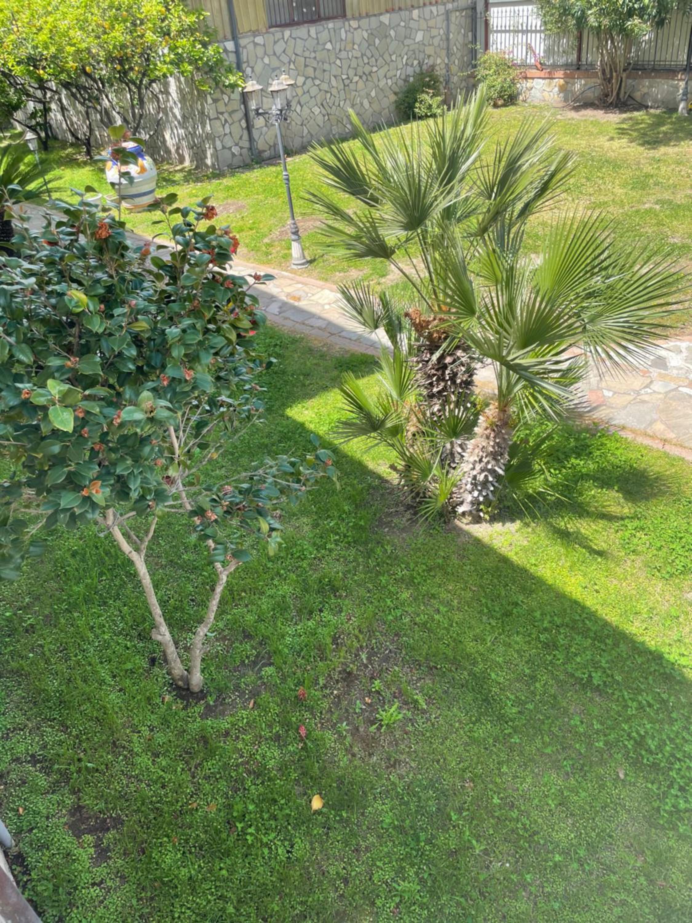 B&B Alba, photo 26