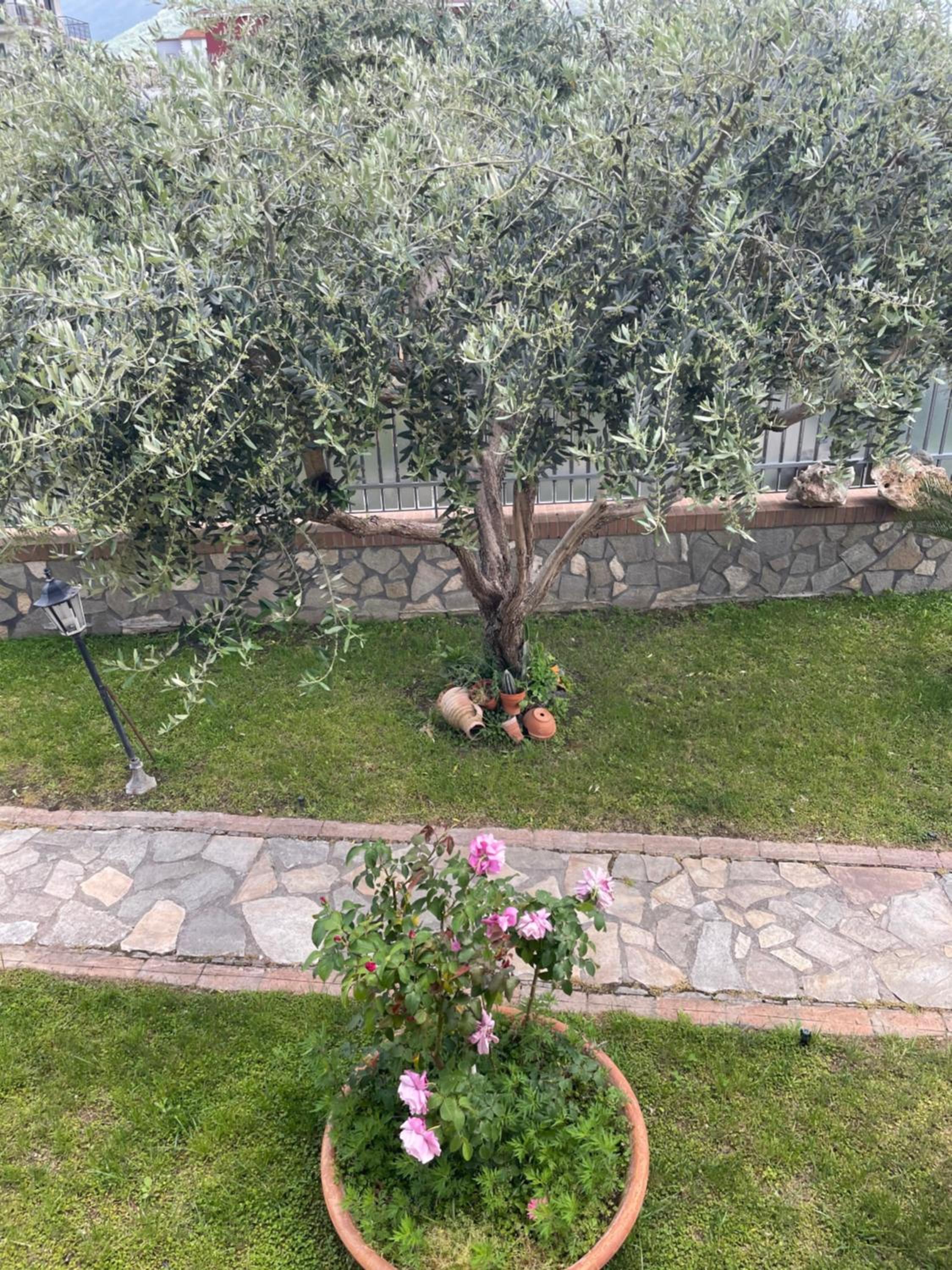 B&B Alba, photo 29