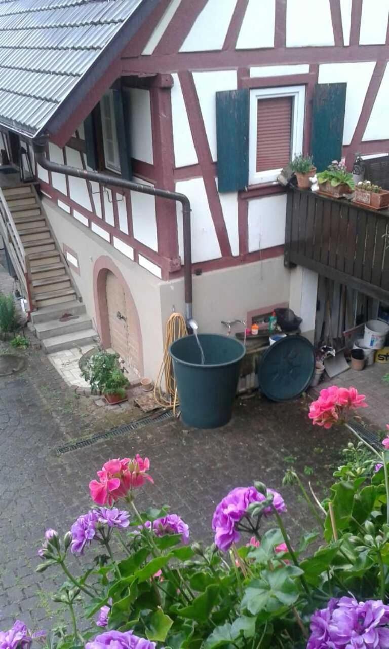 Galerie Ueber den Gaerten