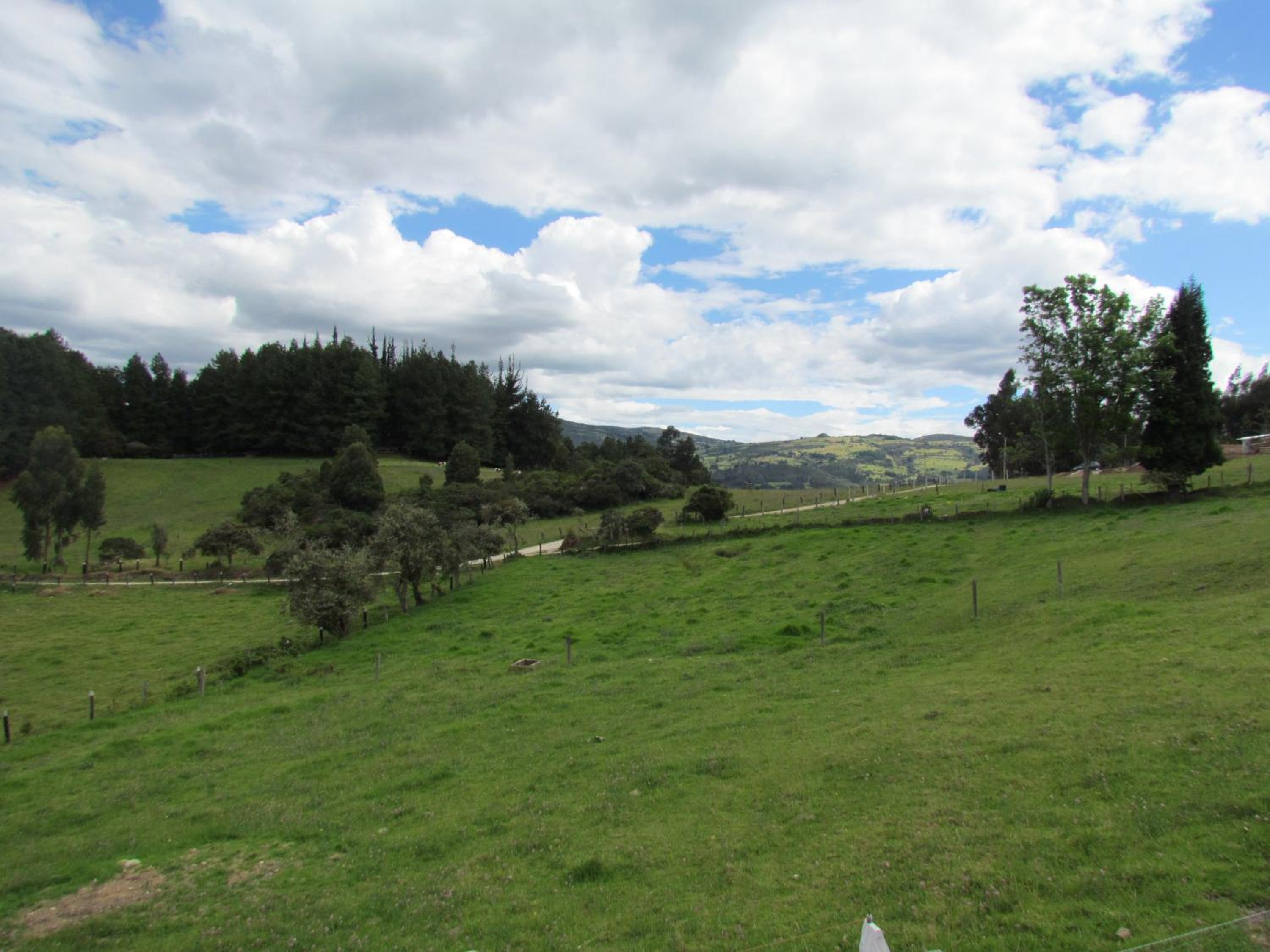 Cabaña Campestre Katie view 4