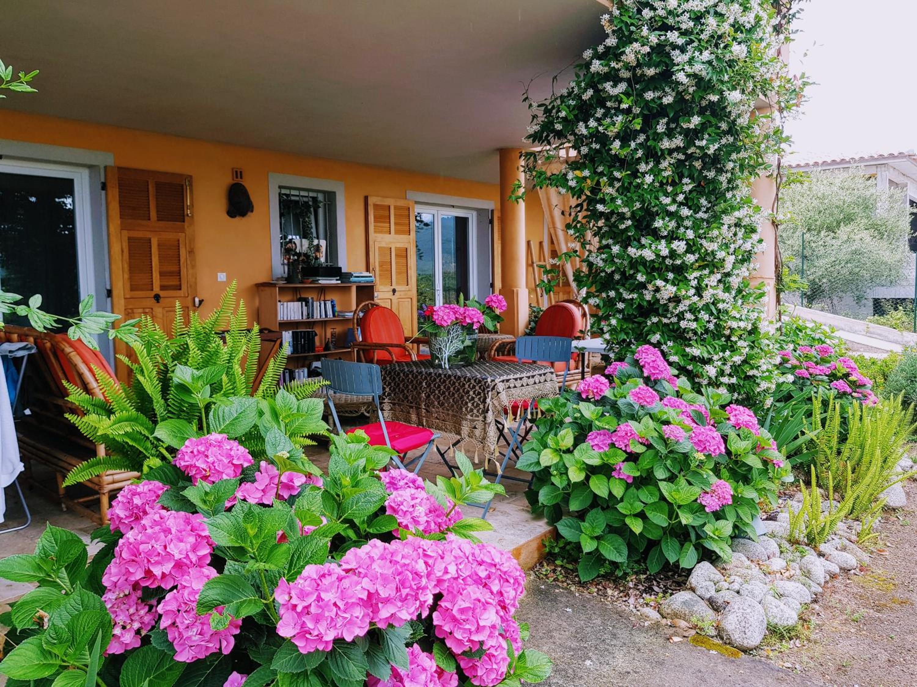 Gîte L'Appart de Case Vanille view 4