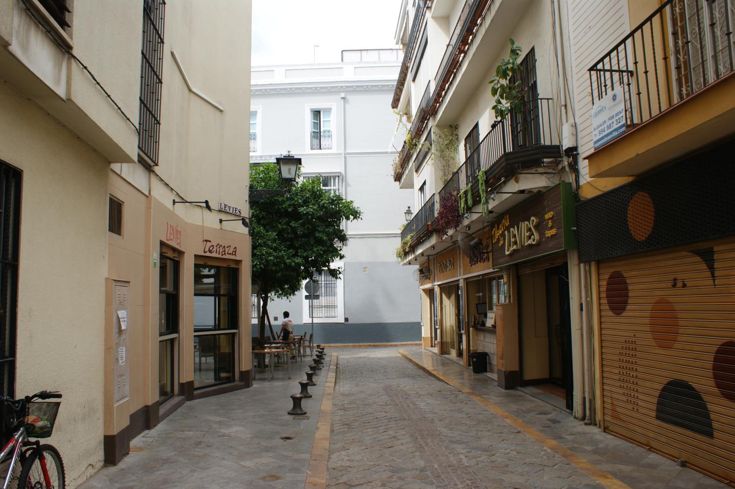 APARTAMENTO LEVIES view 3