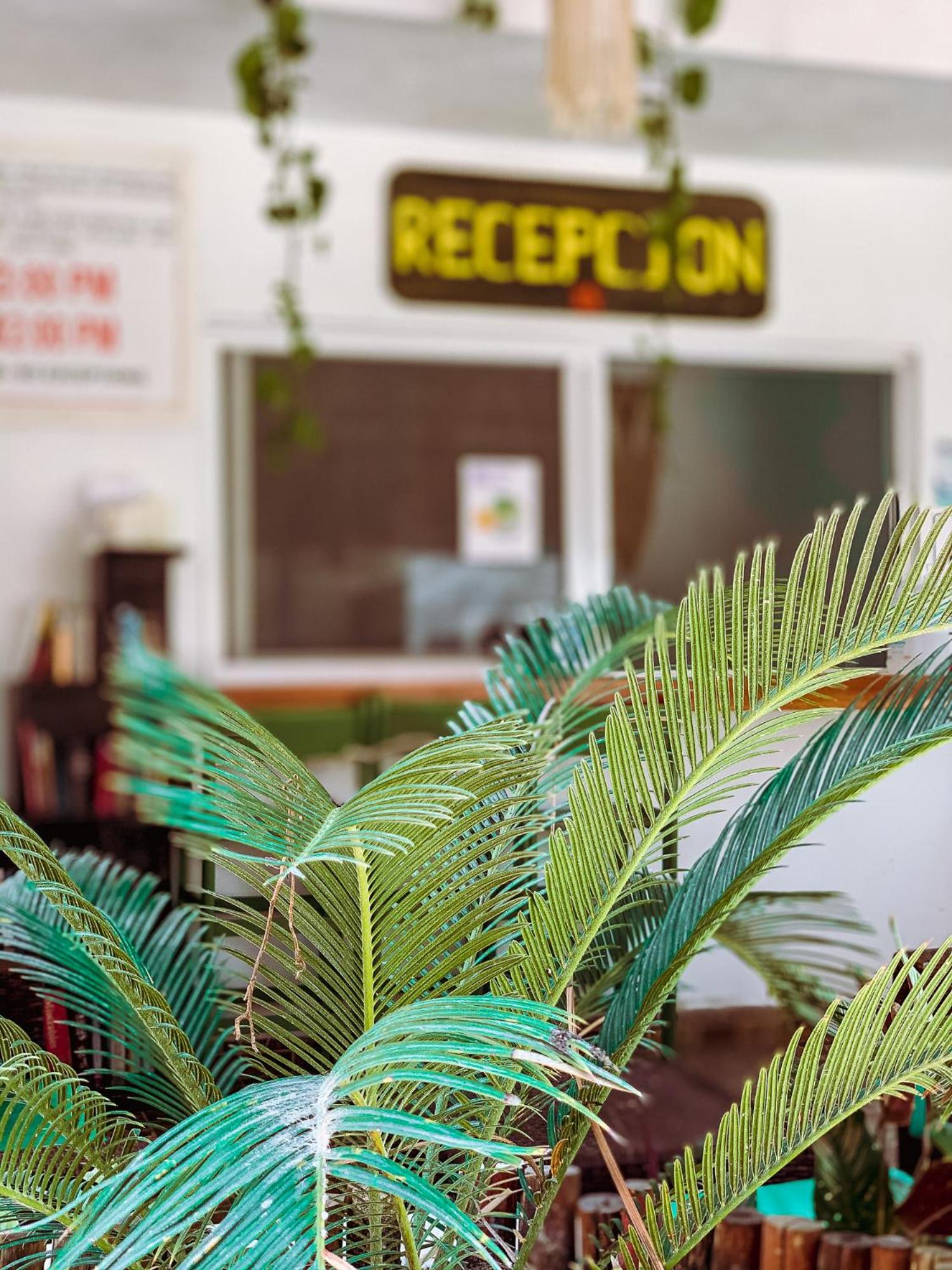 Golden Paradise Hostel