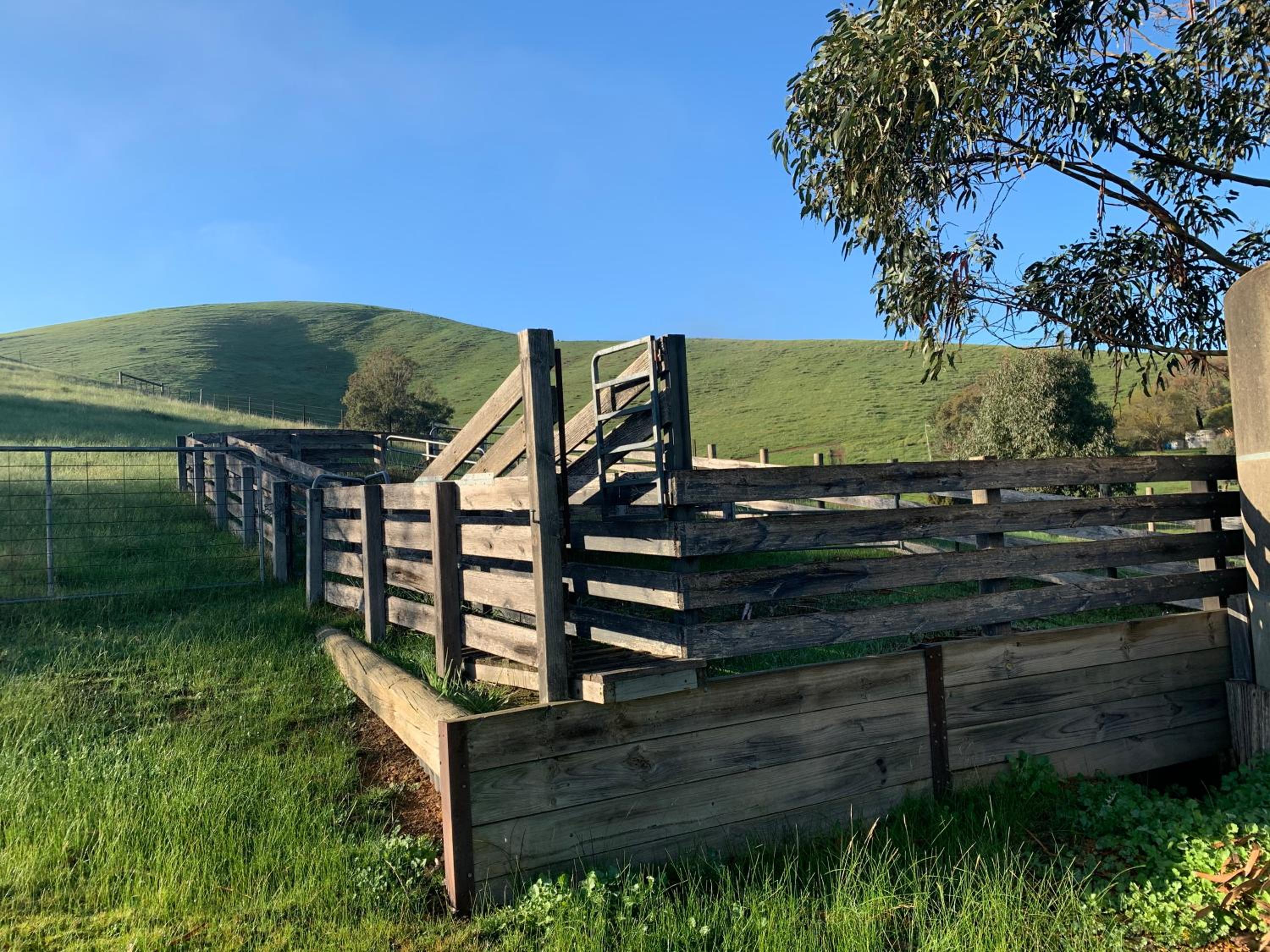 Omaroo High Country Retreat