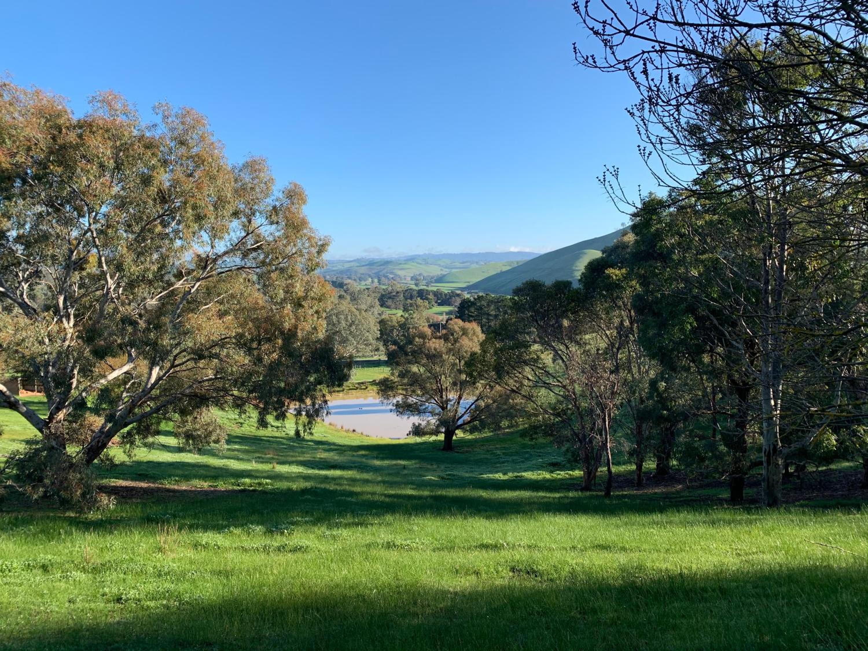 Omaroo High Country Retreat