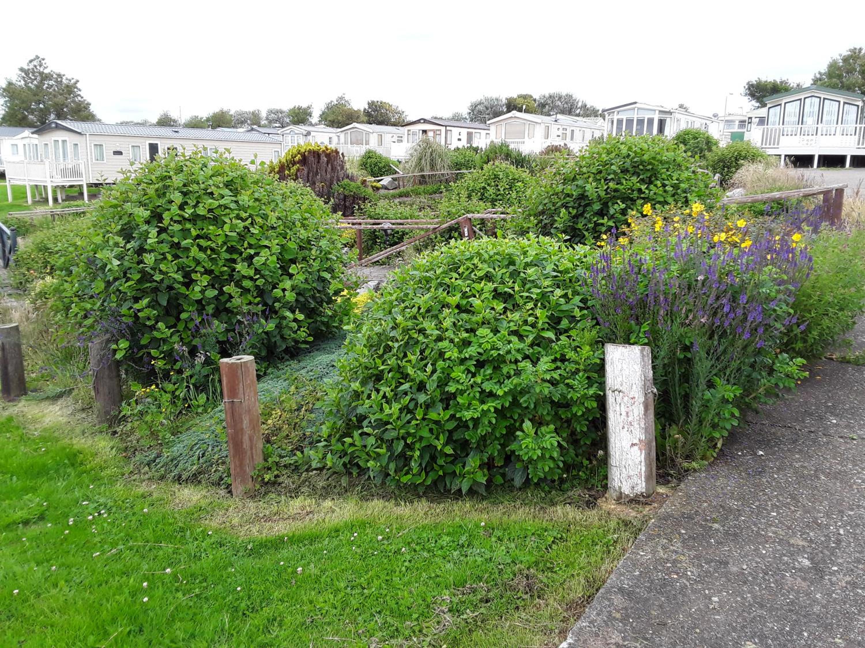 Photo 48