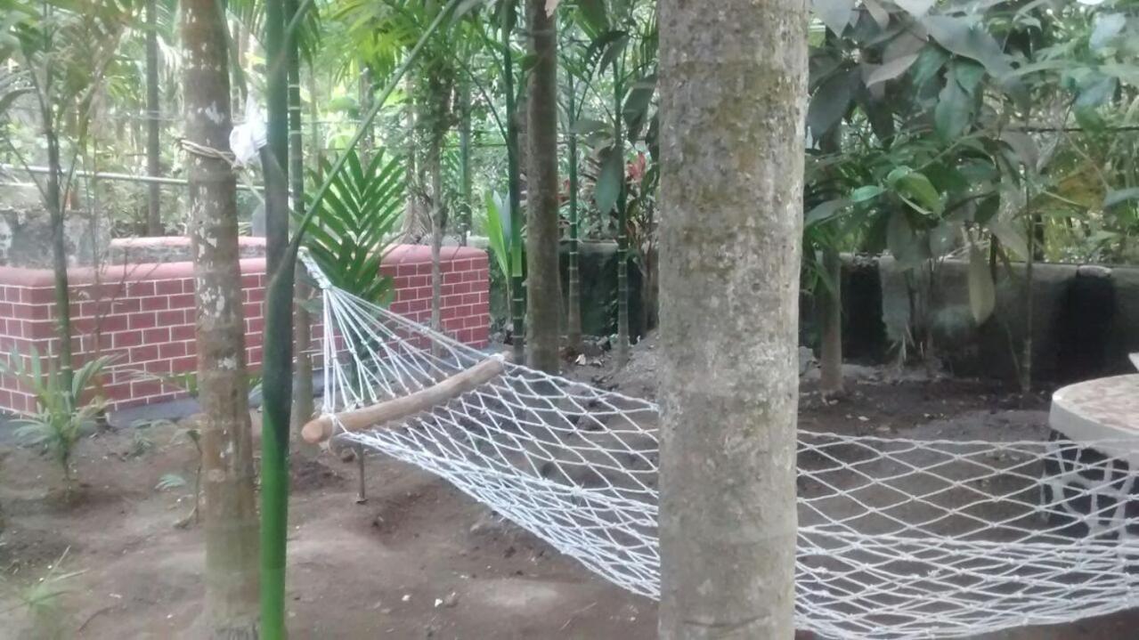 Swimming Pool Cottage Alibag With Meals view 2