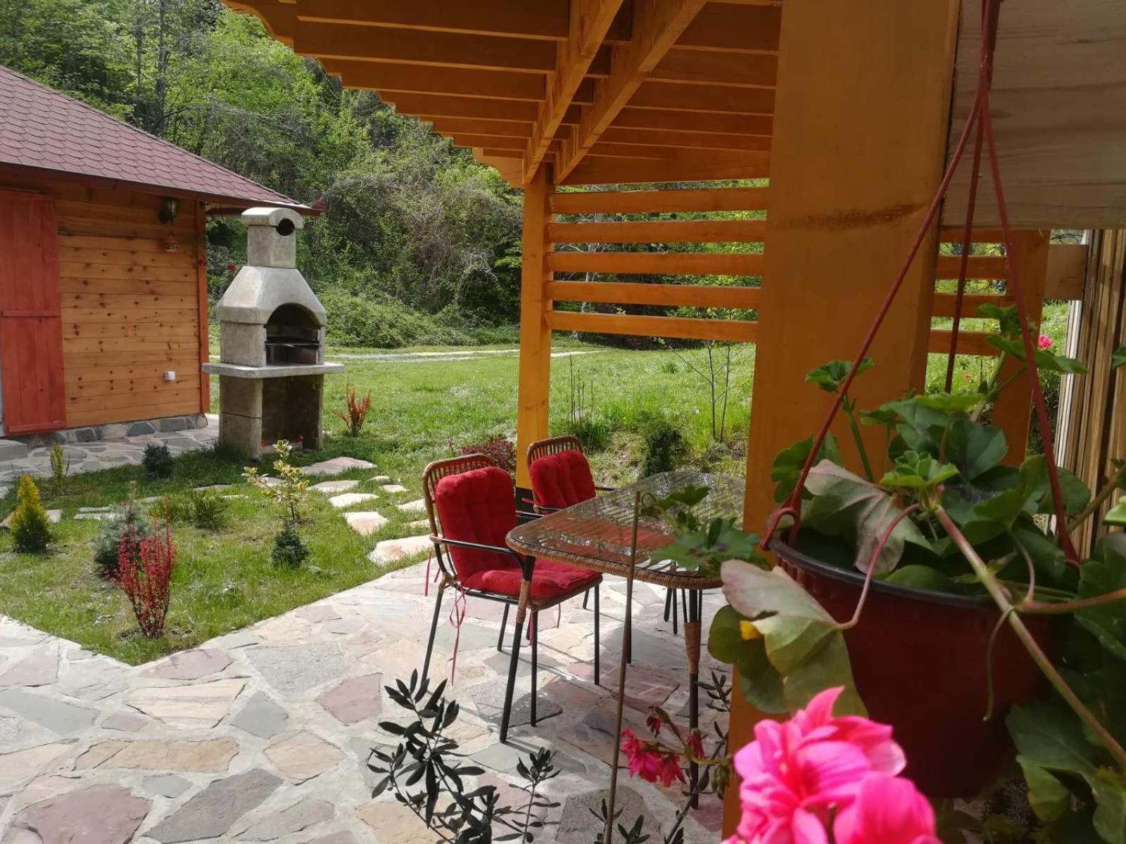 Brvnara kraj Dunava Zelena Oaza view 3