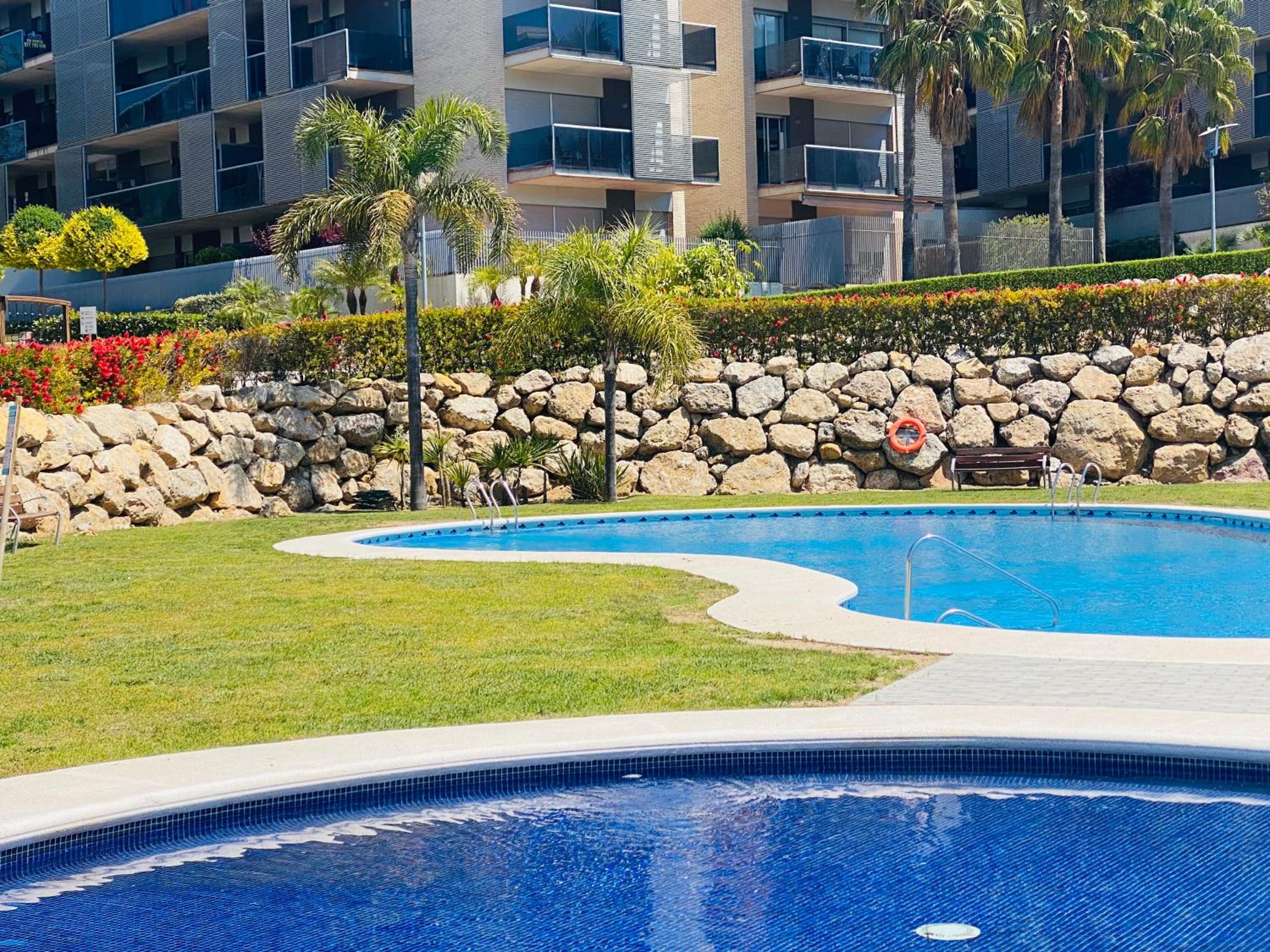 Paradise Aventura photo 5