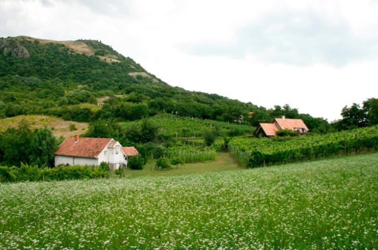Csobánc Szerelem-Nemzeti Park-Önalló Ház - klimatizált view 3