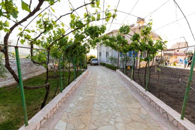 VILA LLANO