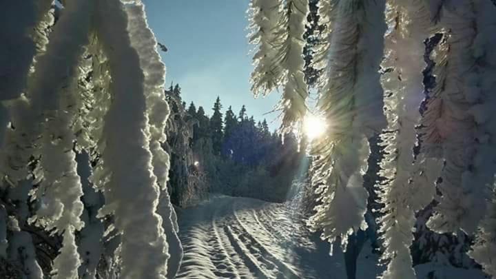 Photo 32