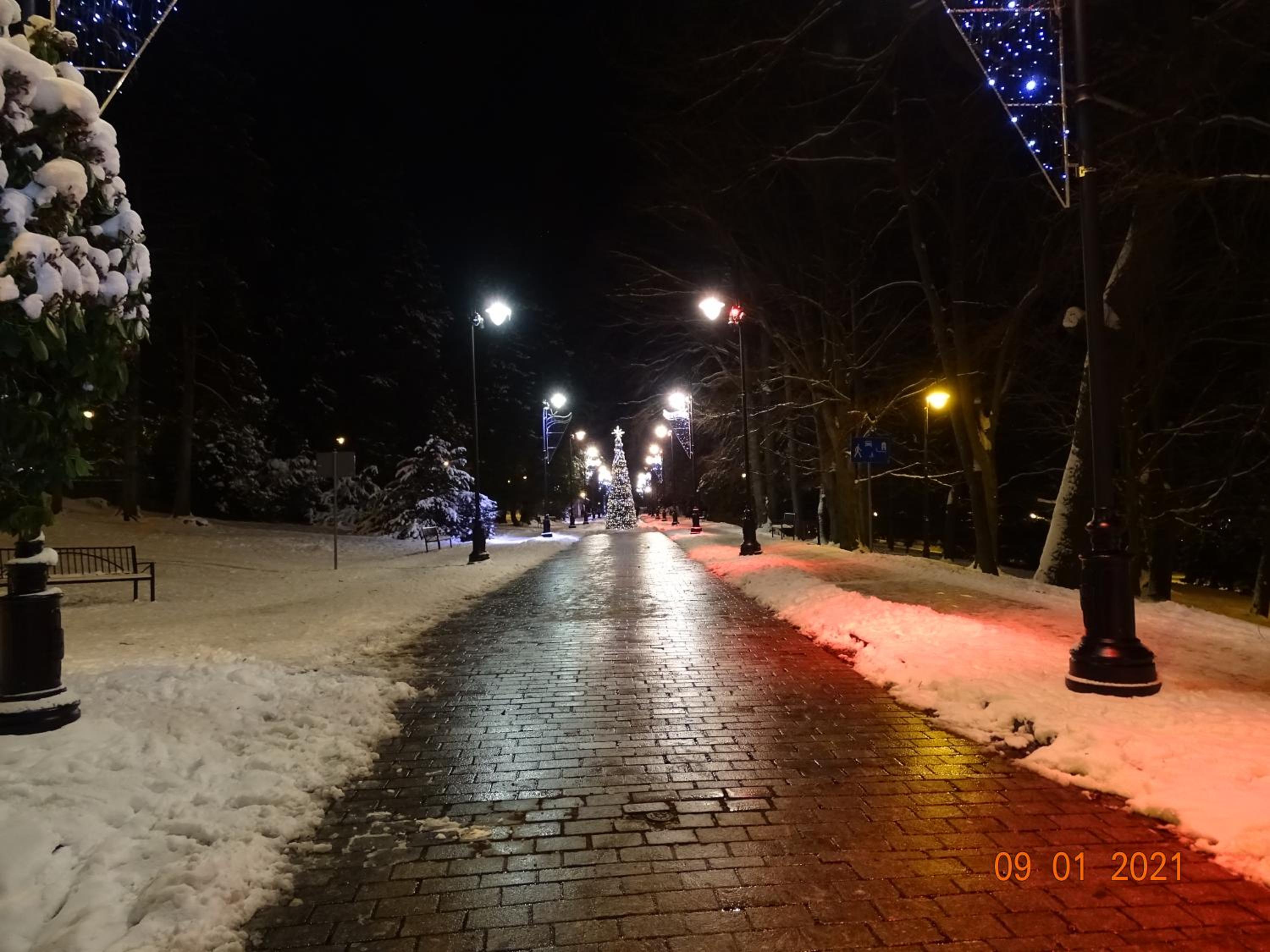 Photo 62
