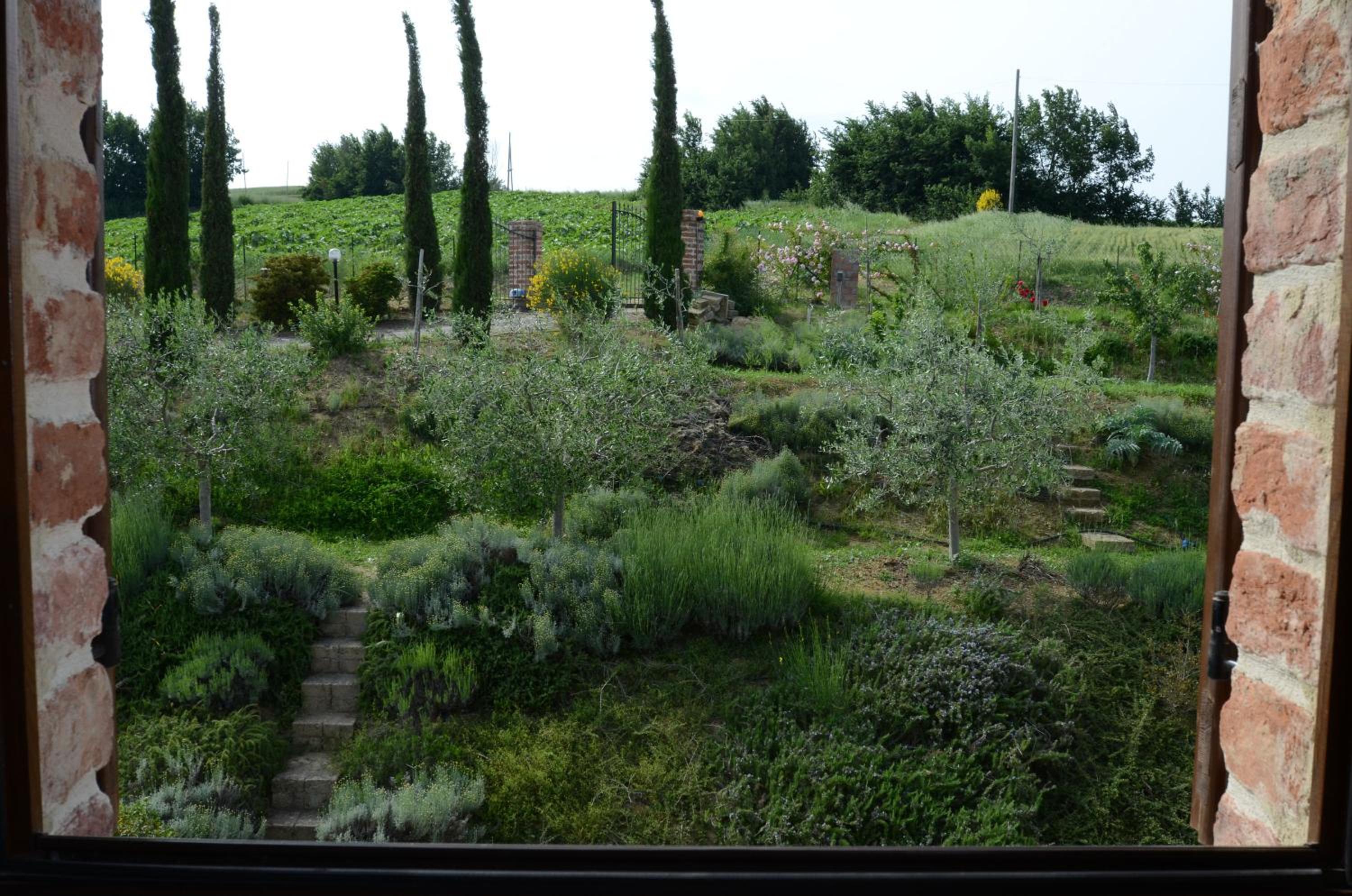 Photo 23
