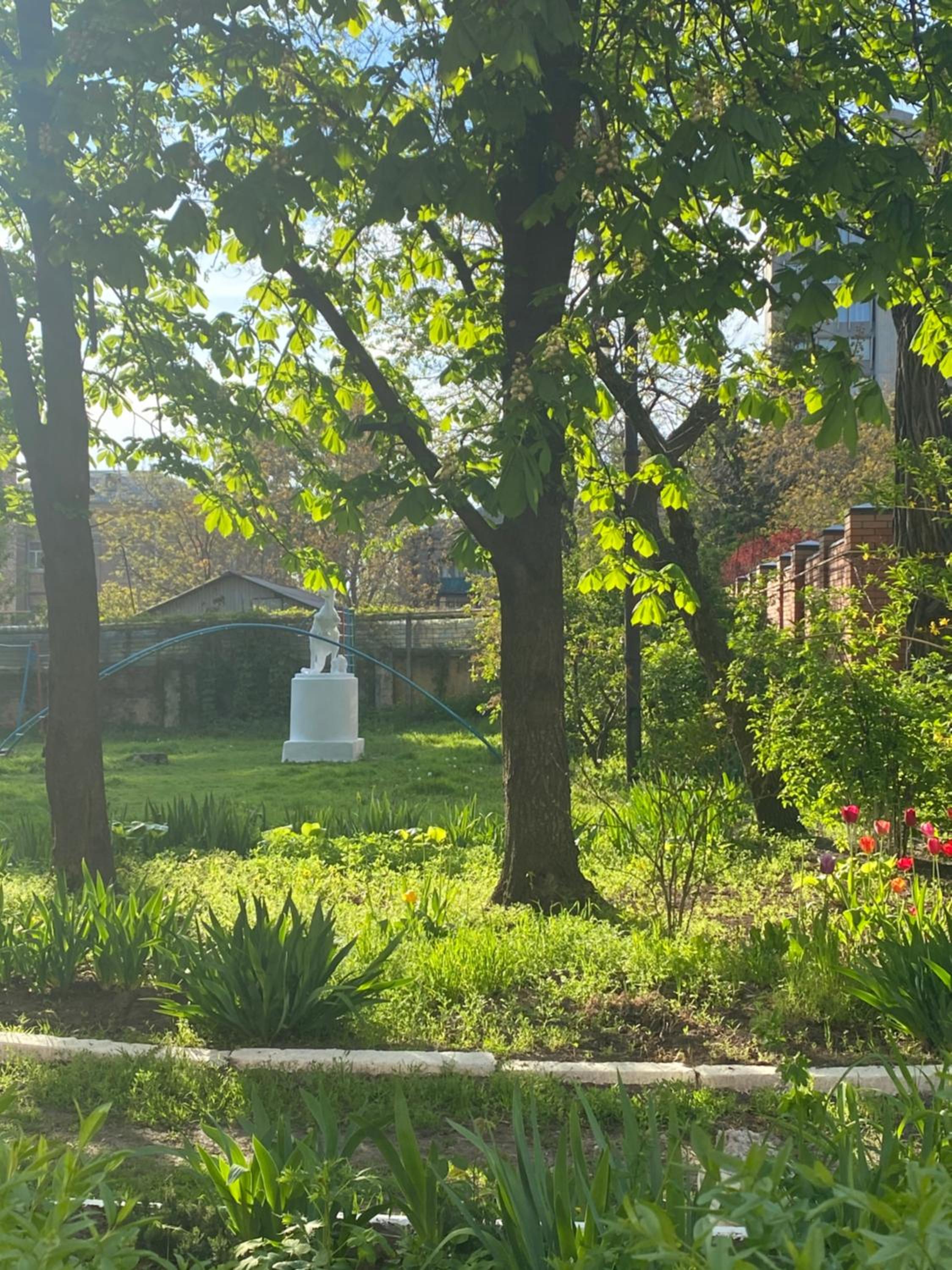 Photo 11