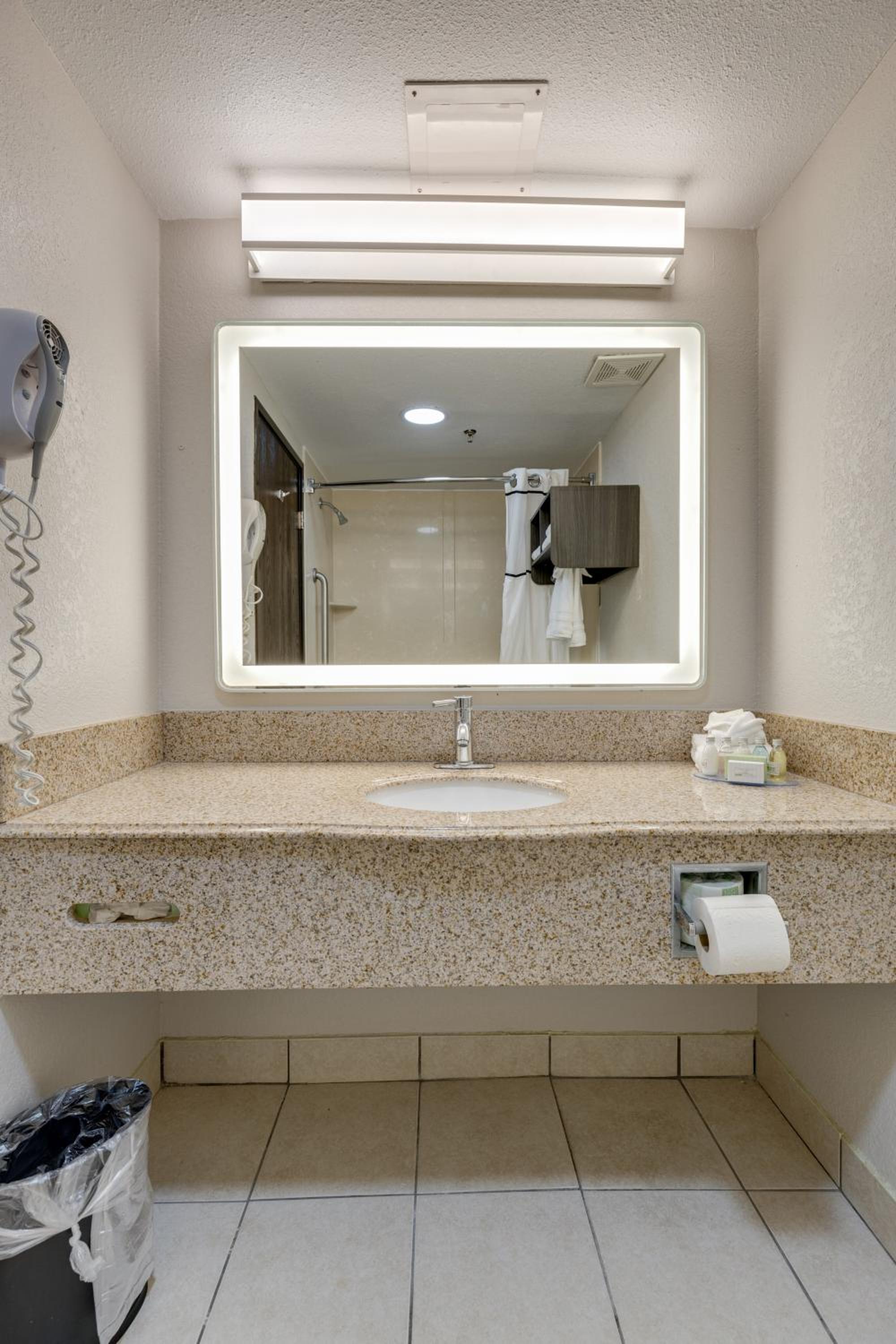 Alexis Inn and Suites Hotel - Property Image 5