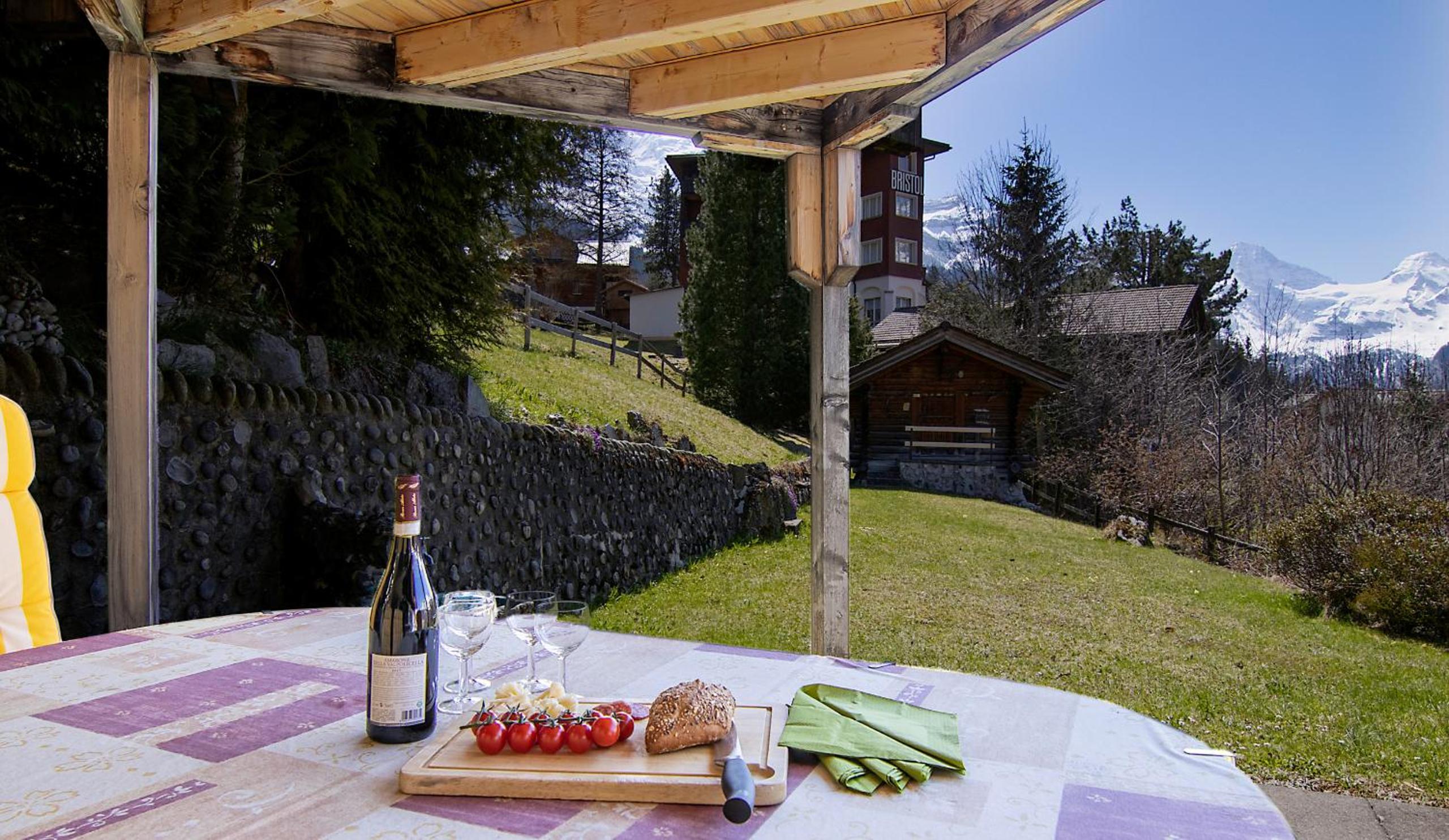 Chalet Steingärtli 1